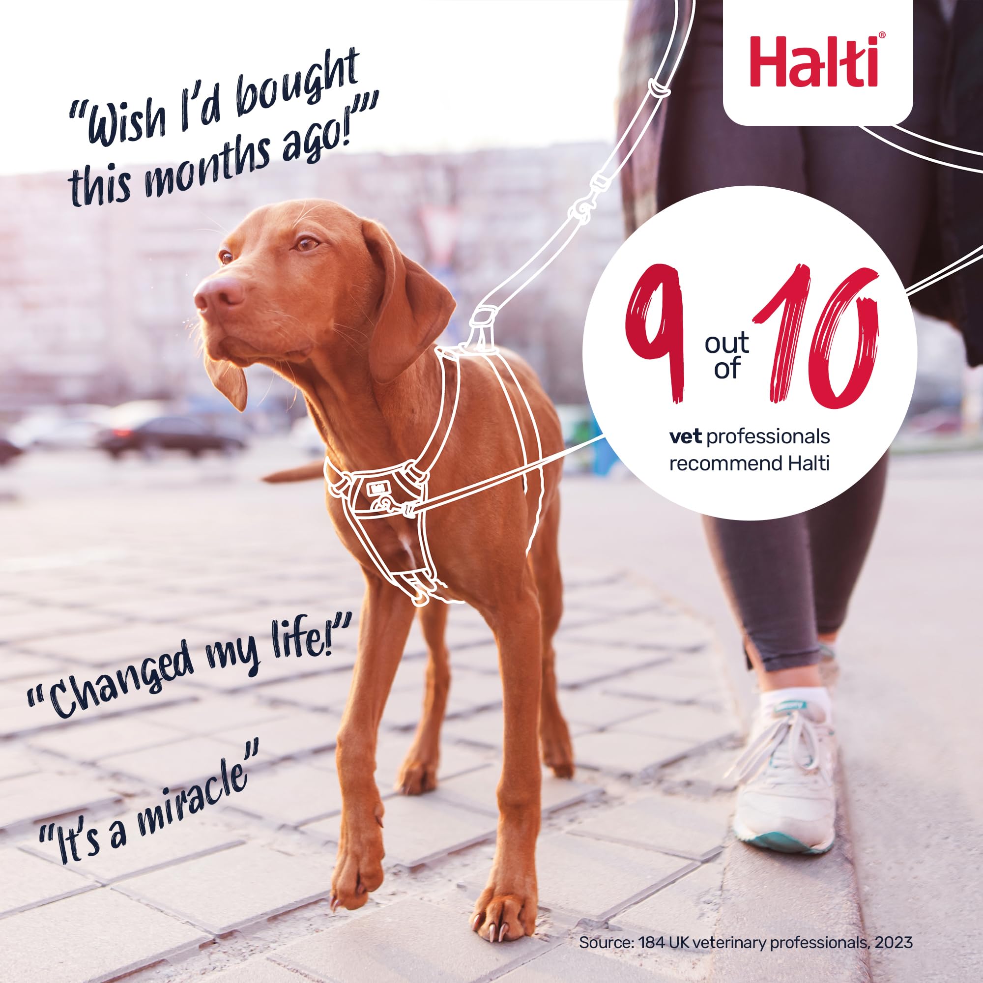 Halti No Pull Harness - Stops Pulling with Front Control Steering | Size M | Deep Walnut 6