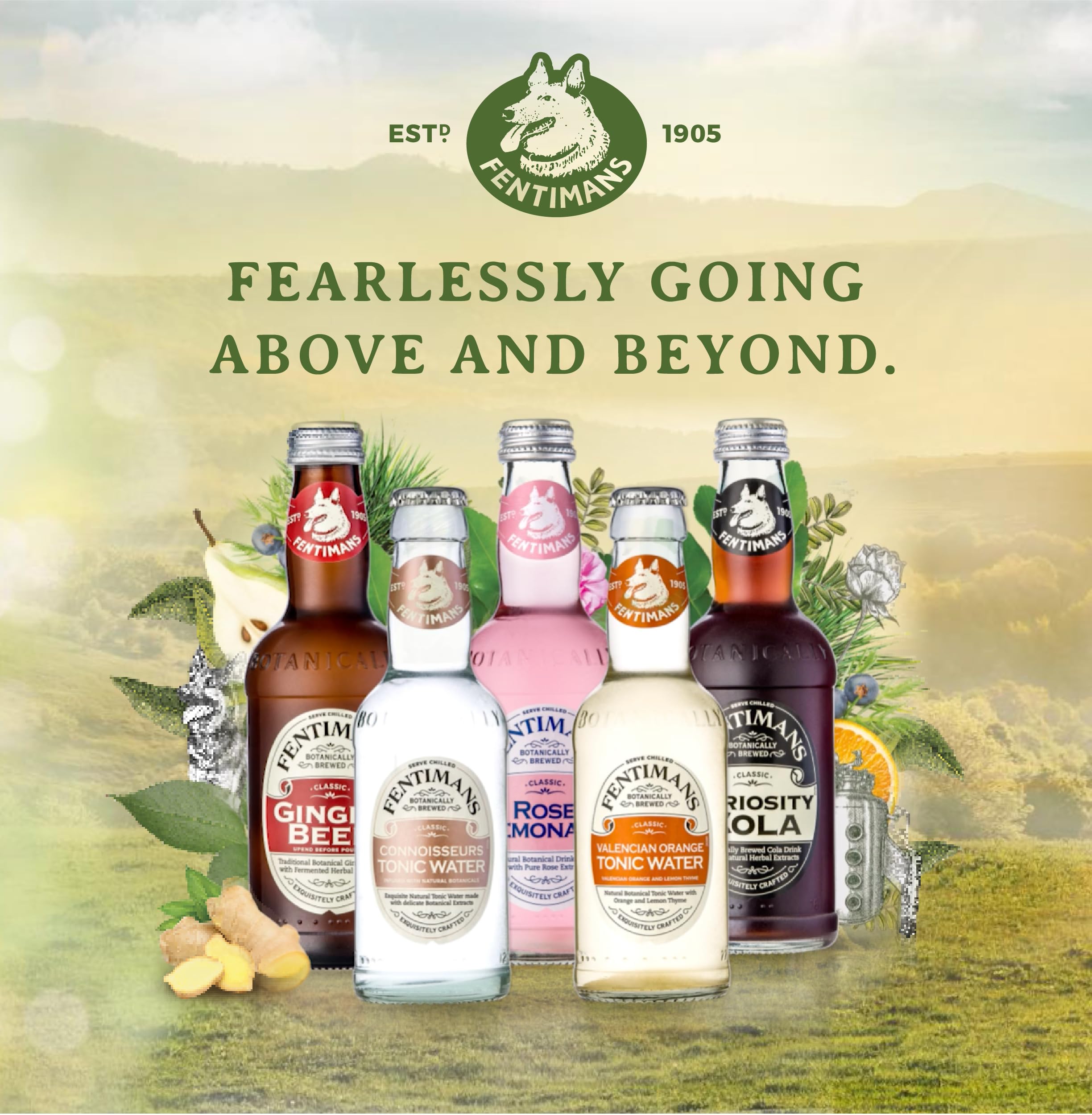 Fentimans Oriental Yuzu Tonic Water - Botanically Brewed, 4 x 200ml Pack 6