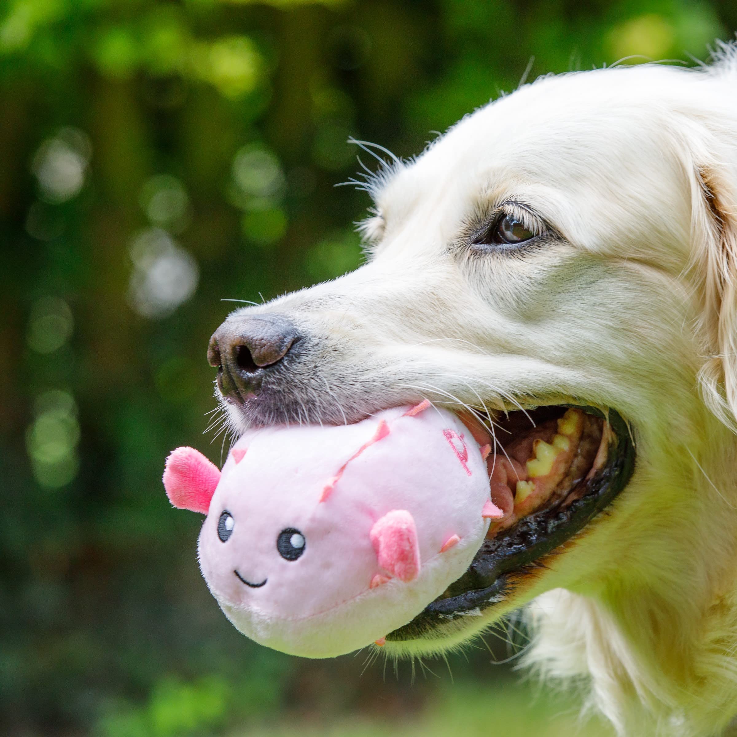 Petface Planet Pippa Puffa Fish Eco Friendly Plush Dog Toy | Lightweight | Medium Dog Size 5