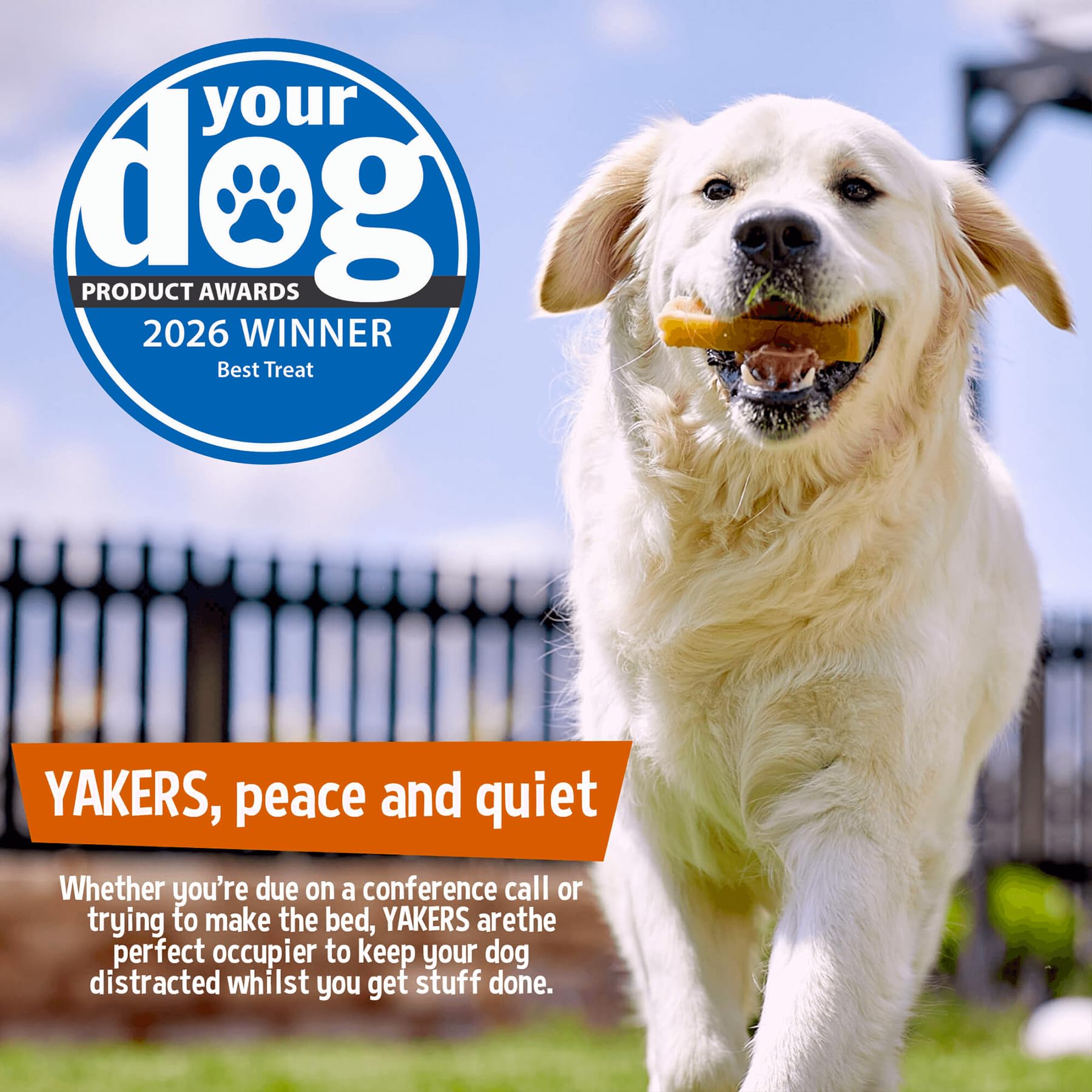 Yakers Cranberry Dog Chew for Medium Breeds | Protein & Calcium Rich | Dental Health Support 6