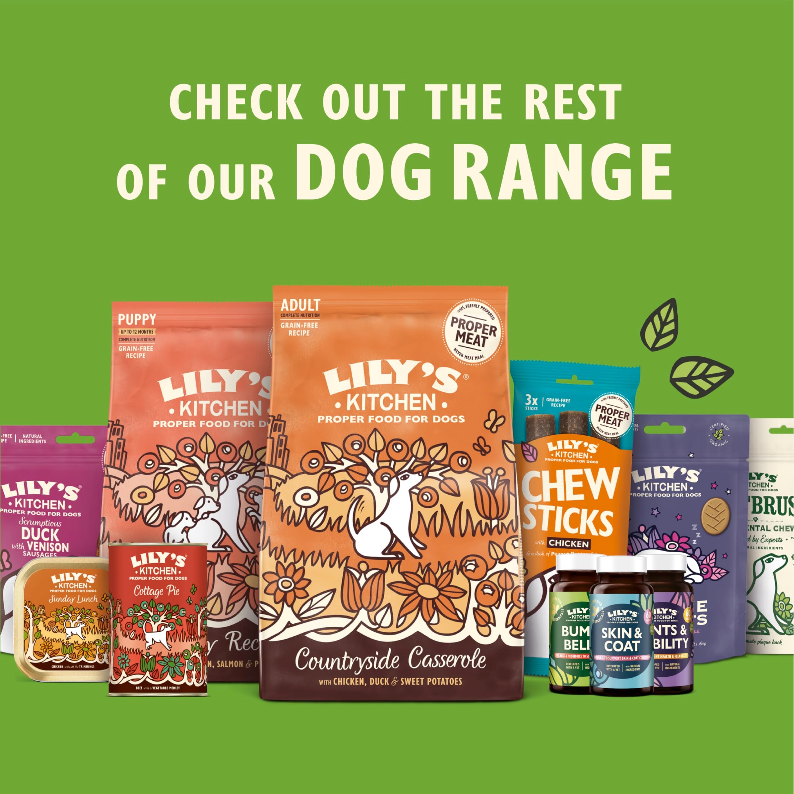 Lily's Kitchen Woofbrush Medium Dental Dog Chew - Grain-Free, Vet Approved | 7 Chews per Pack | Adult Dogs 6 Months+ 9