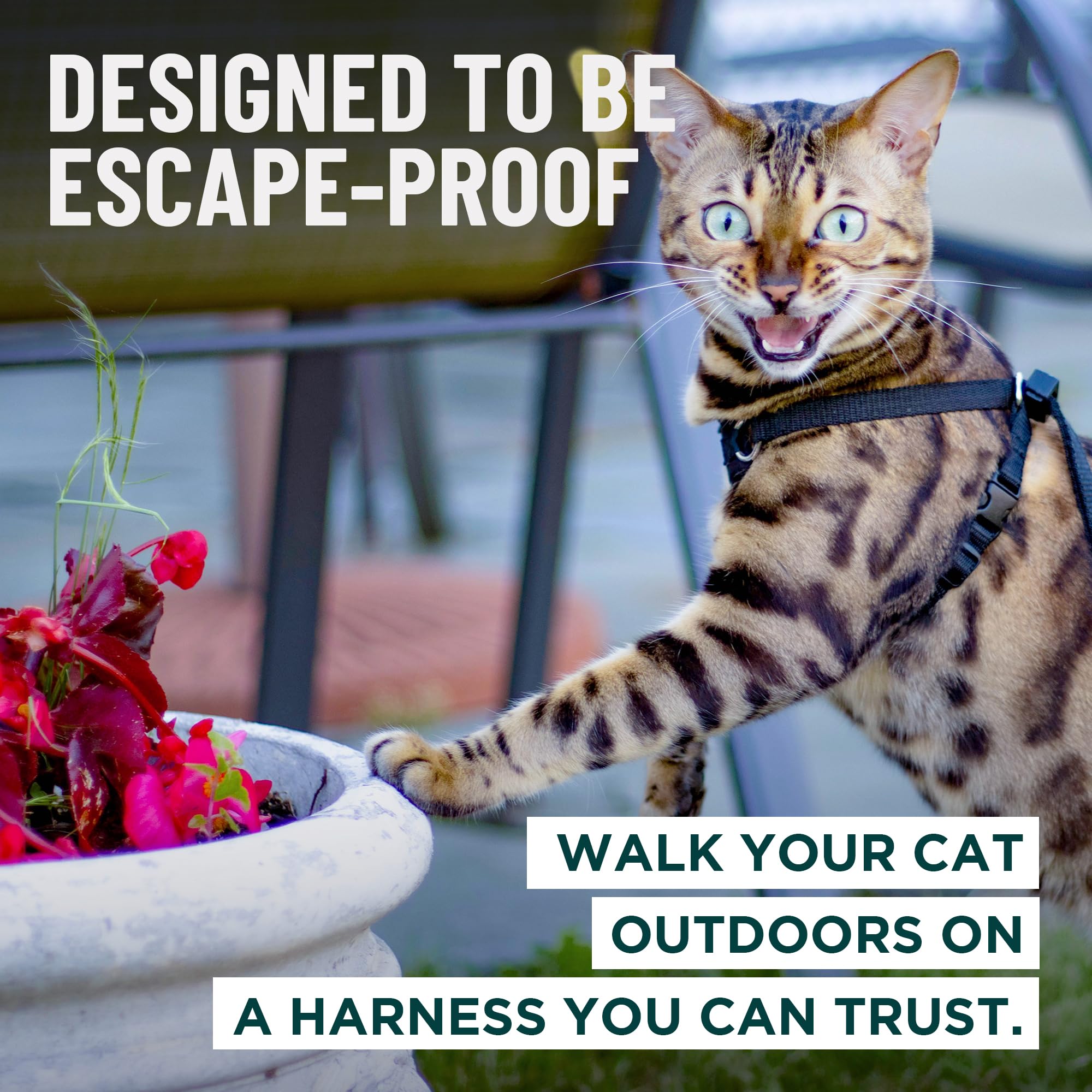OutdoorBengal Escape Proof Cat Harness and Leash Set - Choke Free, Lightweight Neoprene | Medium, Black 2