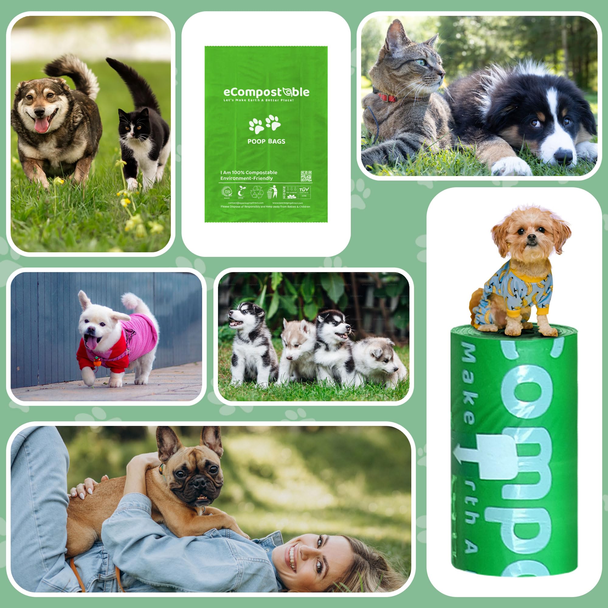 eCompostable Eco-Friendly Poop Bags - 240 Count, Green, Unscented | 13 x 9 Inches 8