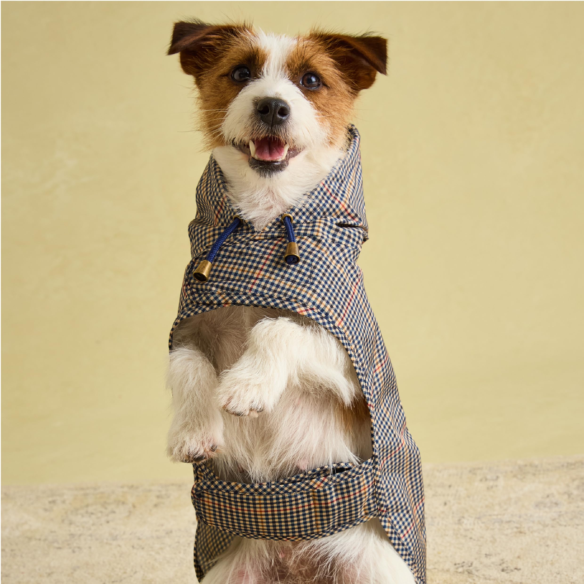 Rosewood x Joules Henson Check Packaway Dog Jacket - Small | Water-Resistant | Lightweight 9