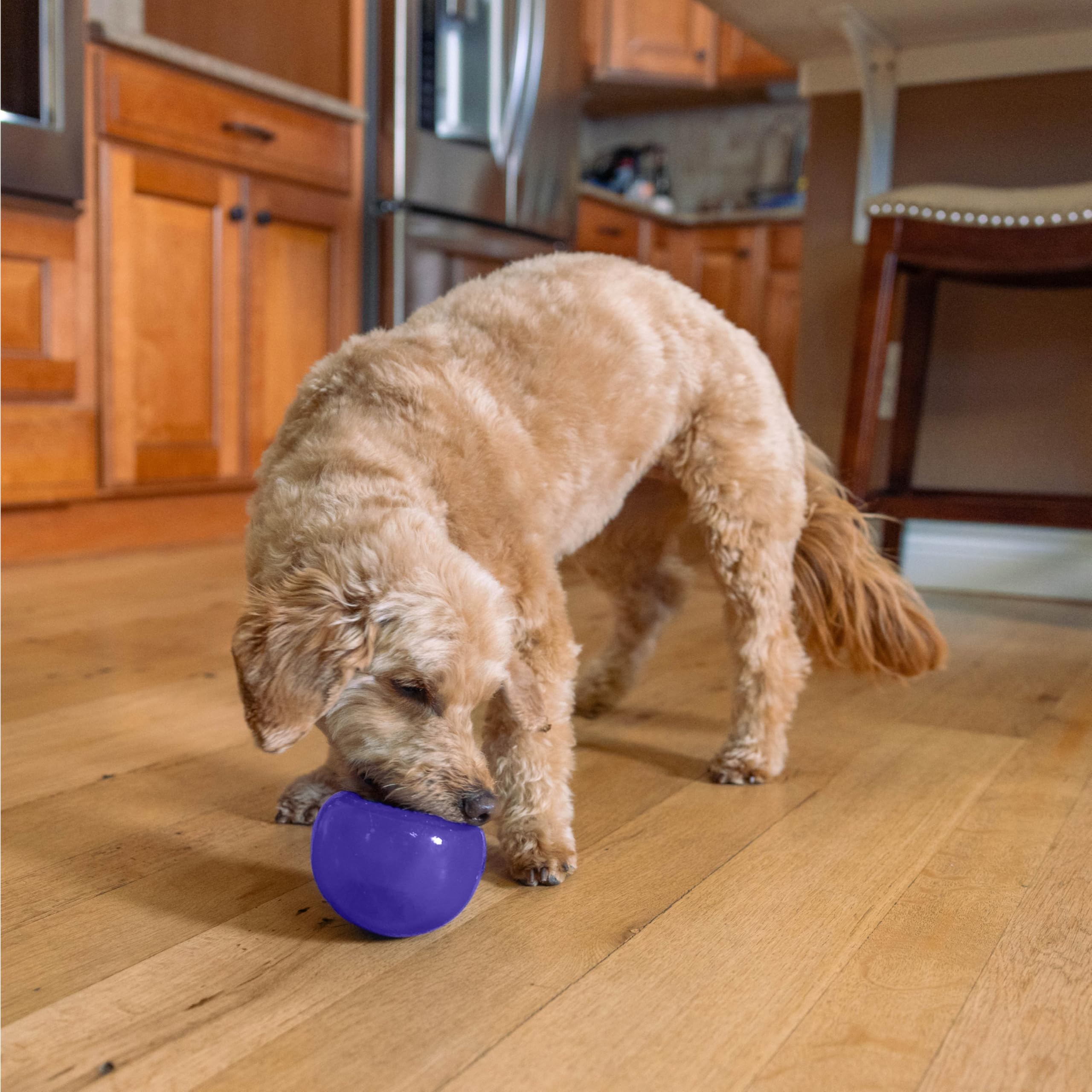 Outward Hound Lil' Snoop Treat Dispensing Dog Toy | Durable Orbee-Tuff | Mint Scented | Small Dogs 8