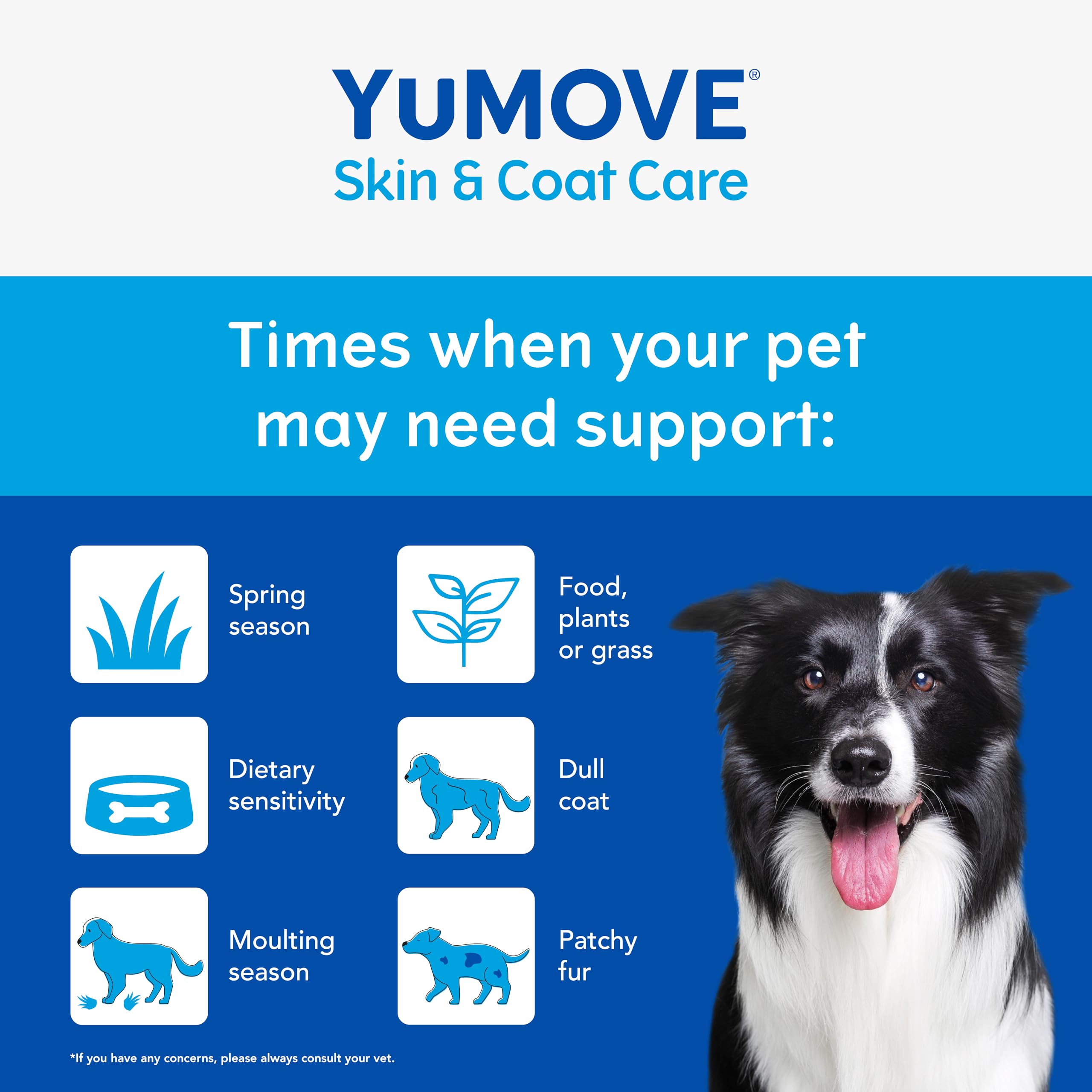 YuMOVE Skin & Coat Care Boost Nutritional Powder Supplement for Dogs | Supports Coat Growth & Skin Health | 125g 4