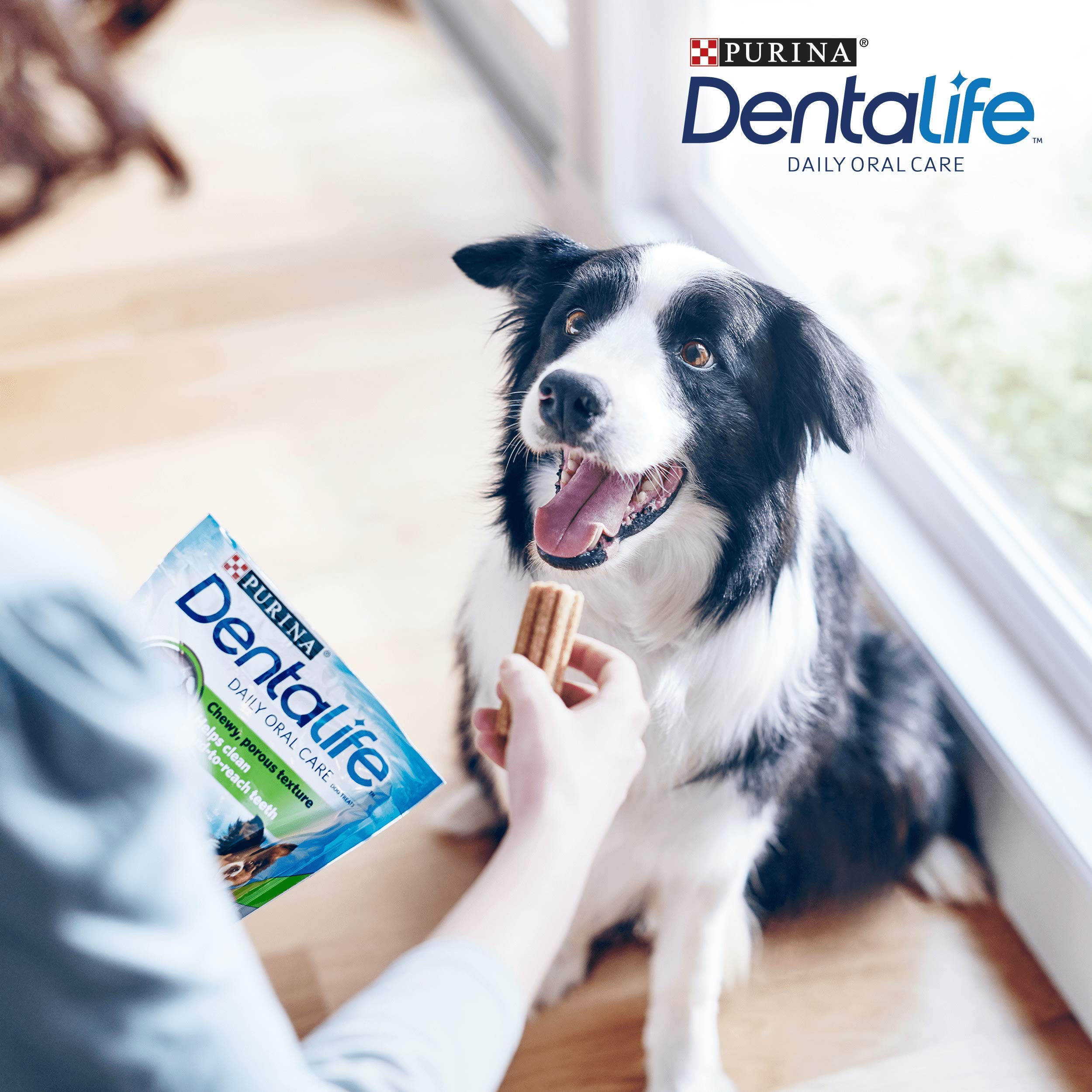 Dentalife Medium Dental Chicken Dog Chews - 45 Count (Pack of 3) | Oral Care for Adult Dogs 3