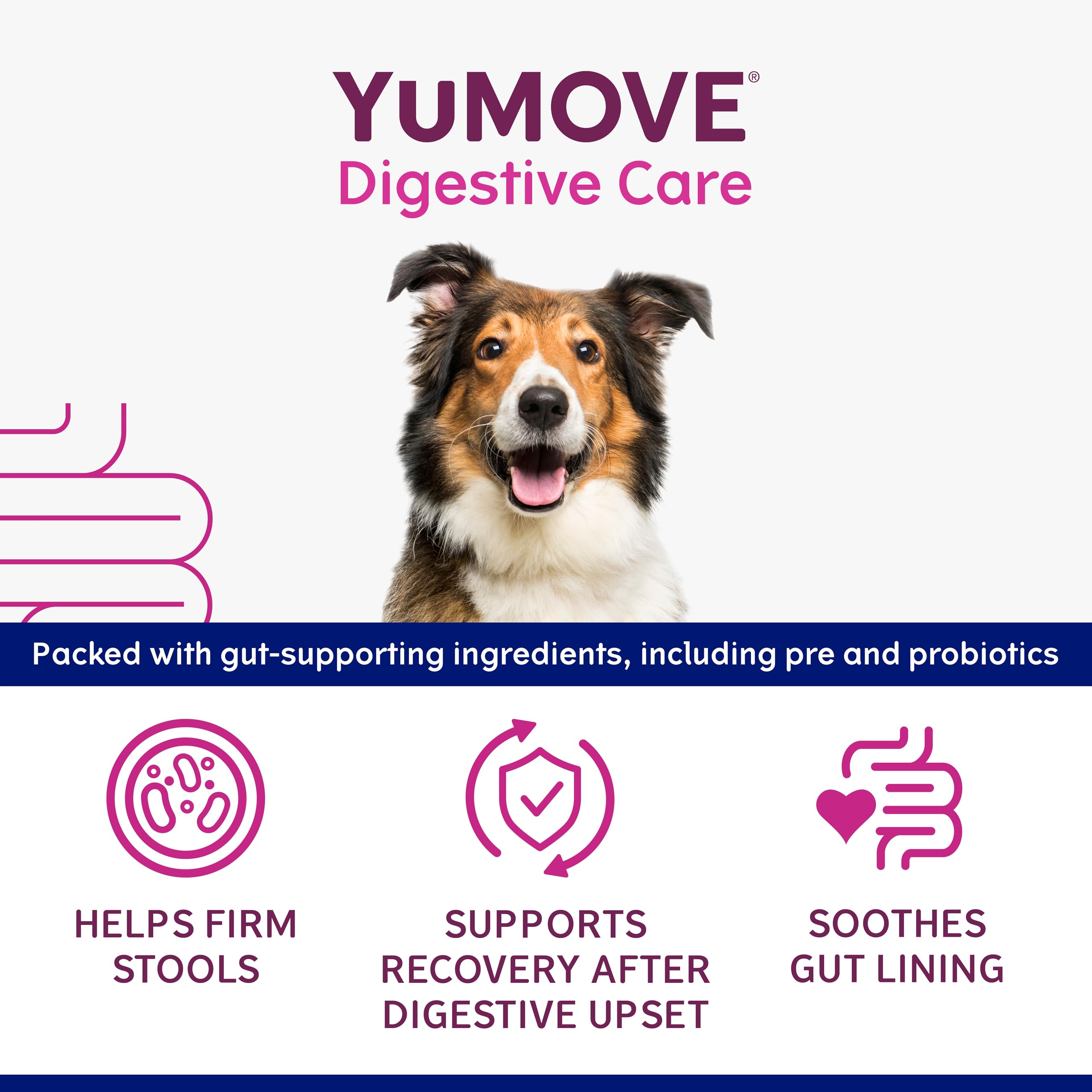 YuMOVE Digestive Care Rapid Probiotic Paste for Dogs - Fast-Acting Stool Firming Aid | 60ml 3