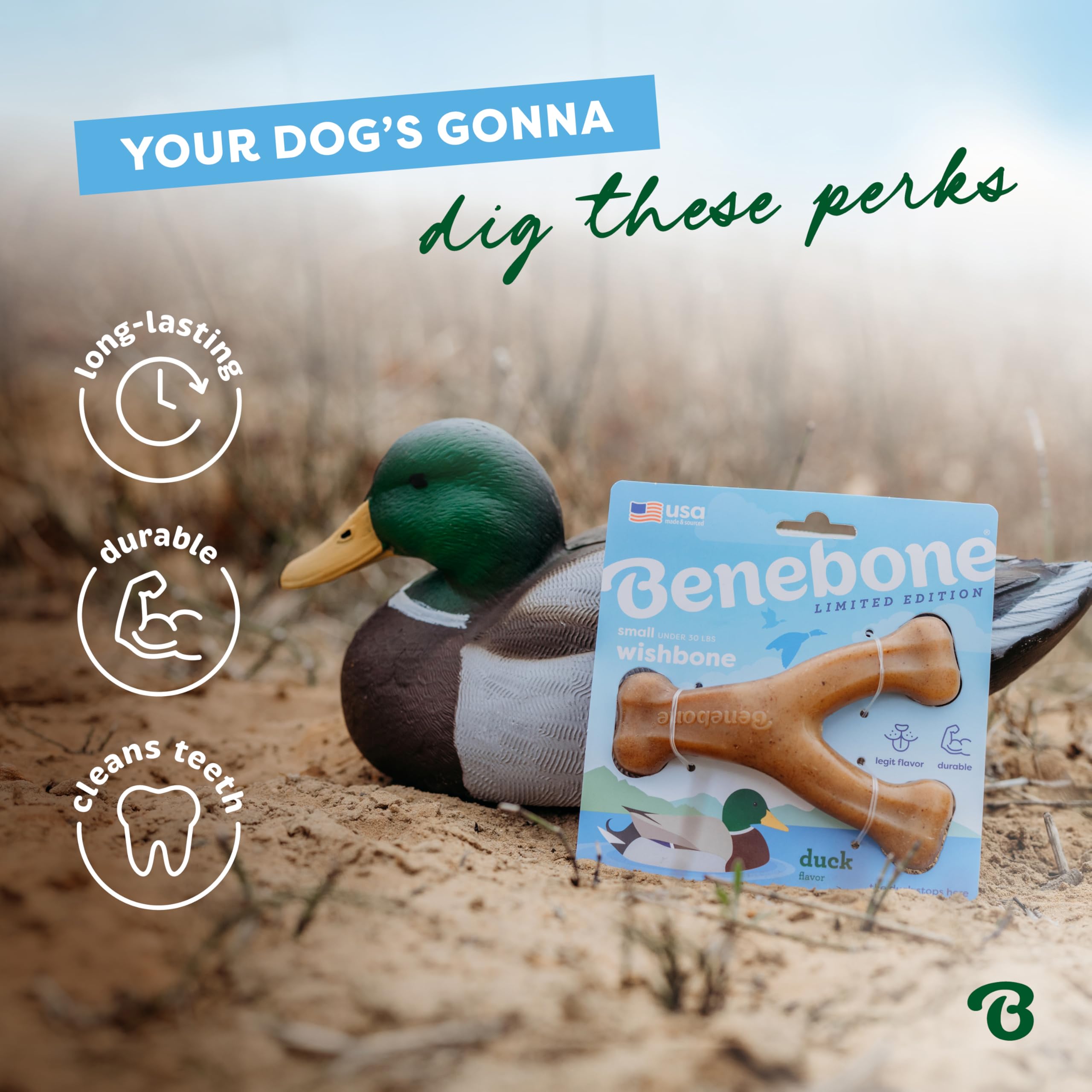 Benebone Wishbone Durable Chew Toy - Limited Edition Duck Flavor | Large Size 4