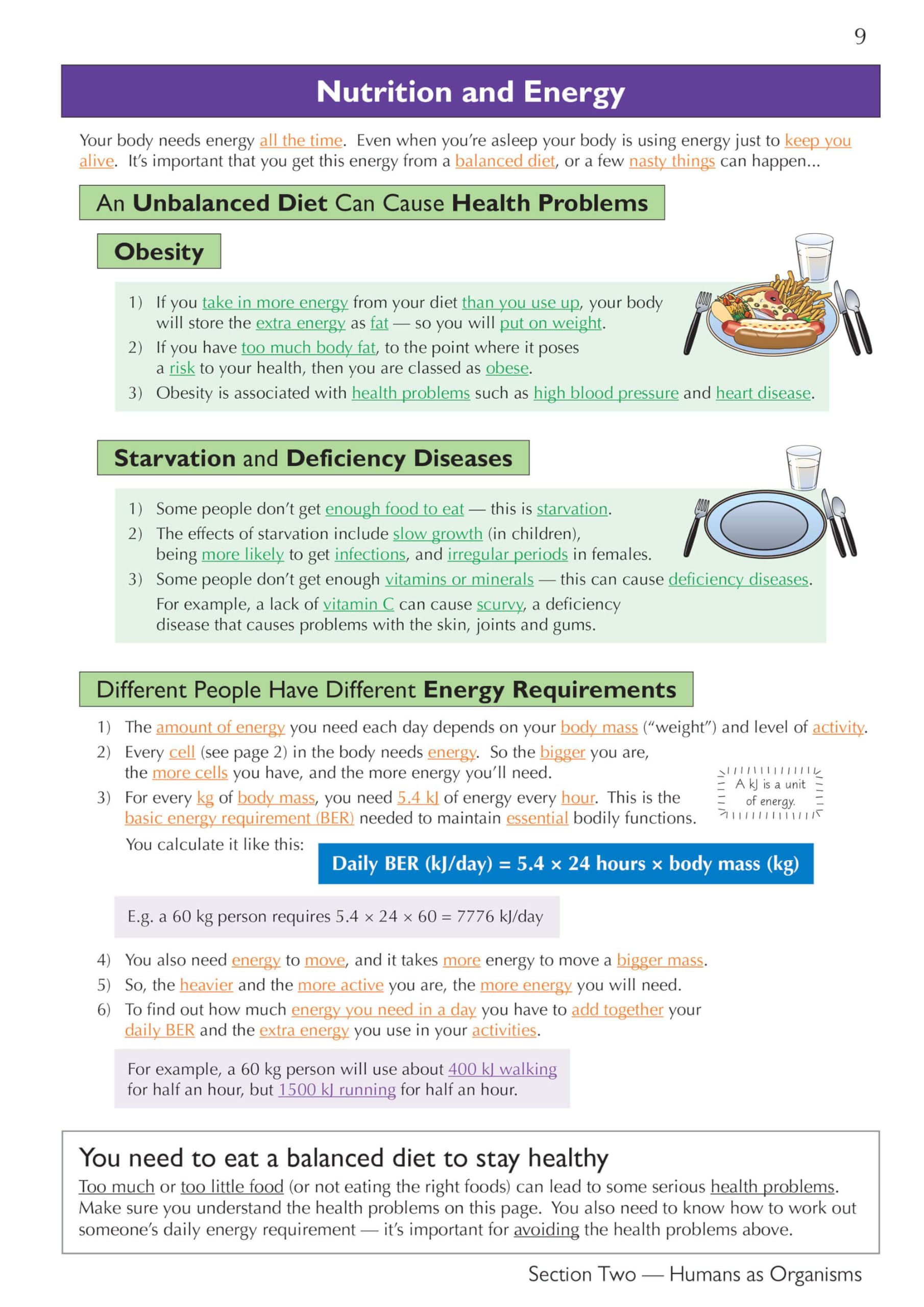 CGP KS3 Science Complete Study & Practice Guide - Higher Level | Paperback | 208 Pages 3