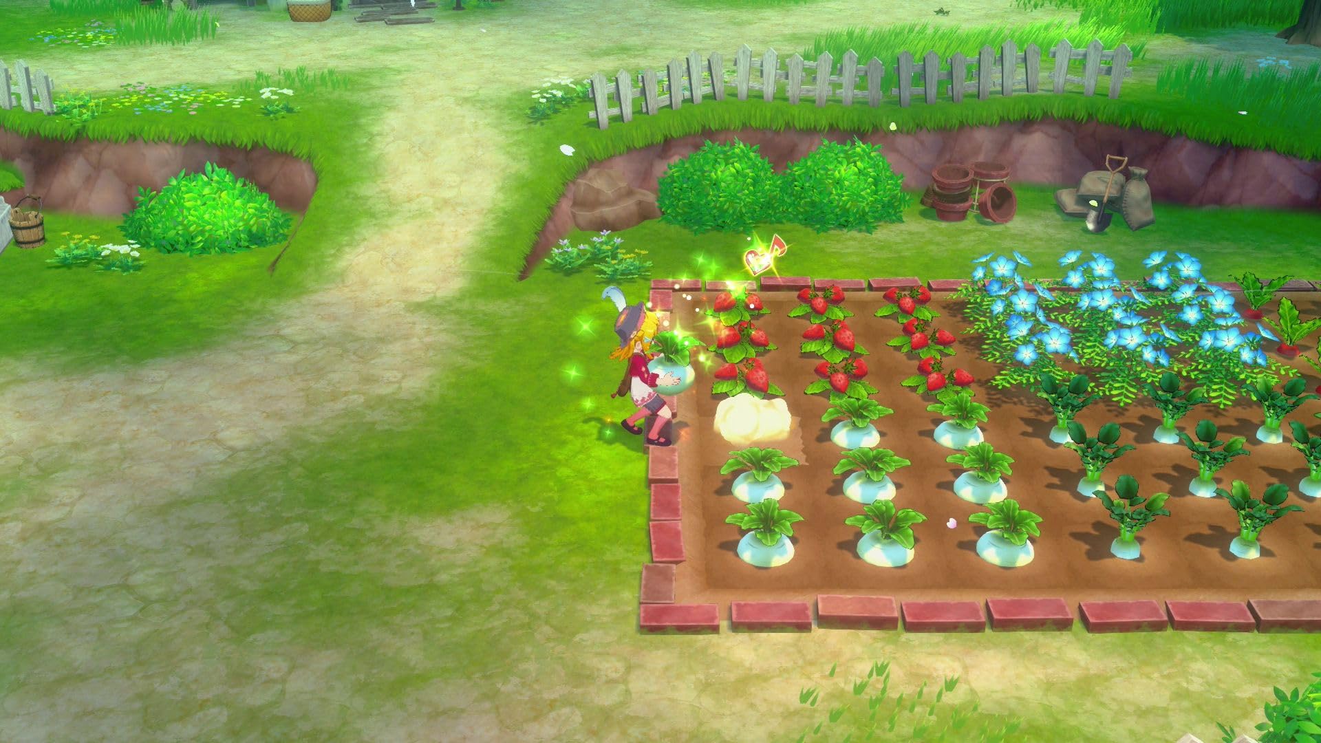 Story of Seasons: Grand Bazaar Limited Edition - Nintendo Switch 7