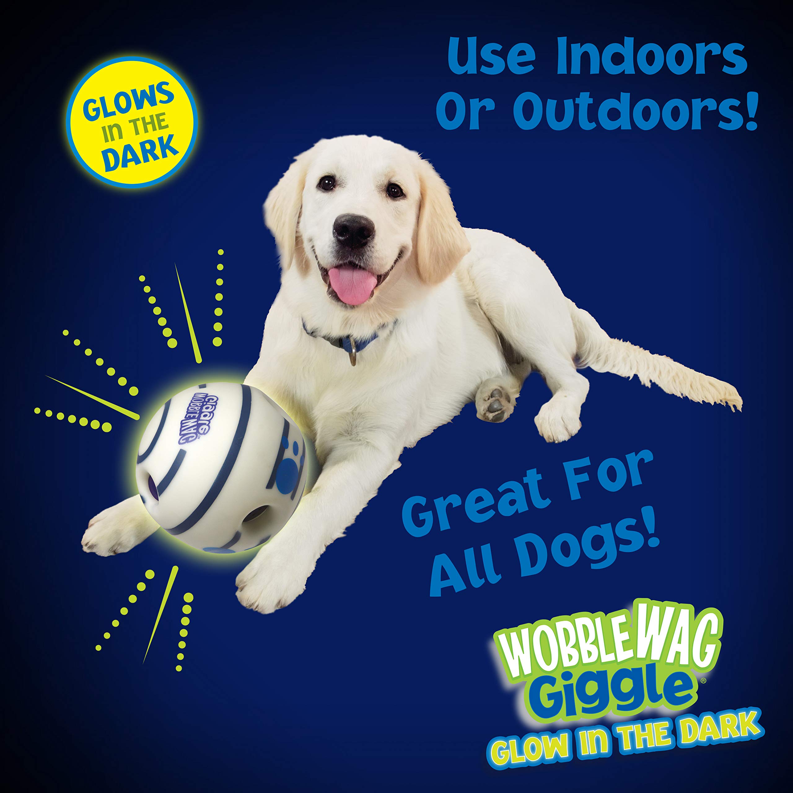 Wobble Wag Giggle Ball - Interactive Dog Toy with Glow in the Dark Feature | Durable Vinyl 6