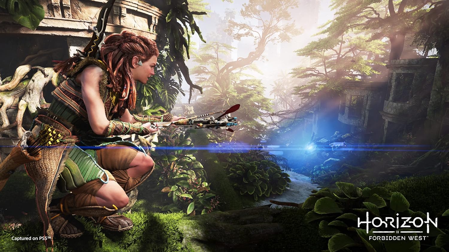 Horizon Forbidden West - PS5 4