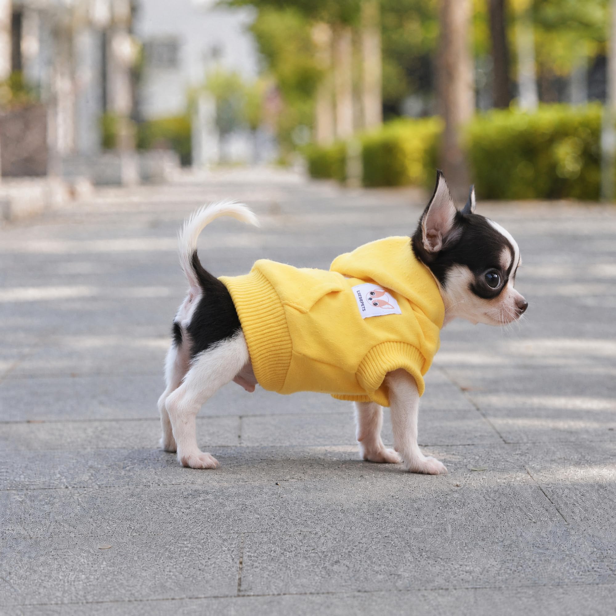 LOPHIPETS Dog Hoodie - Yellow, X-Small | Breathable Cotton Blend 6