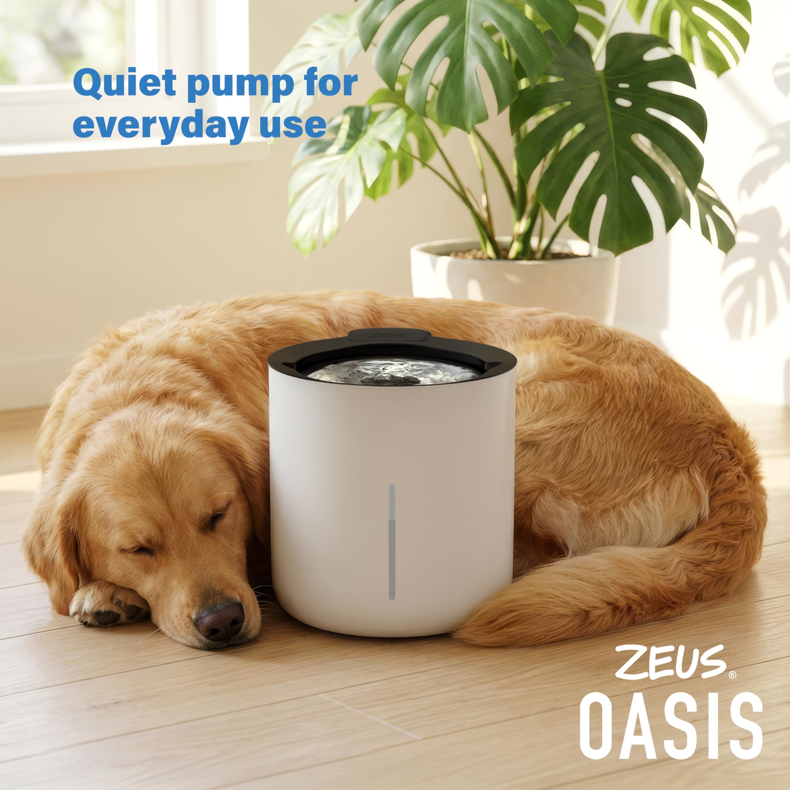 Zeus Oasis Dog Water Fountain - 6L Large Capacity | Stainless Steel Top | Triple Action Filter 7