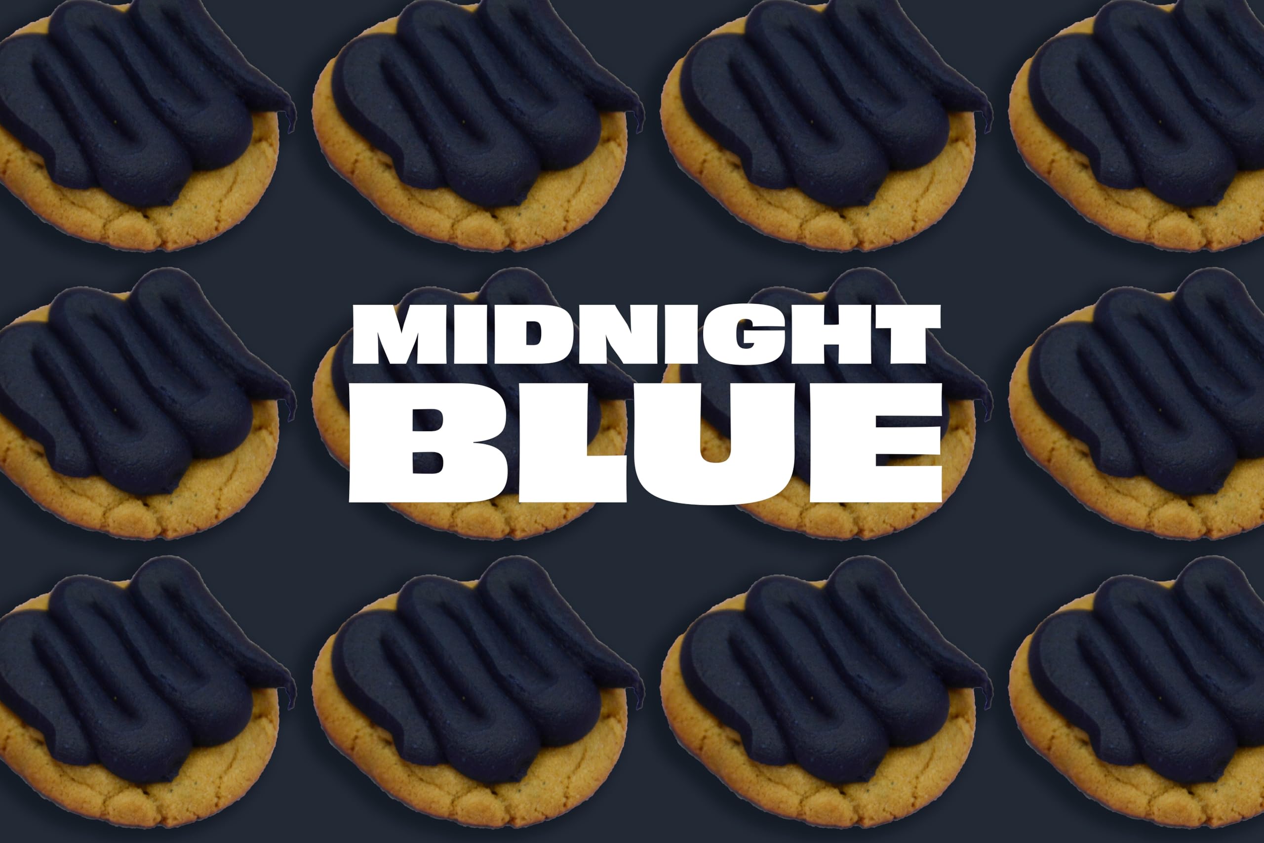 Renshaw Water Based Gel Food Colouring - Midnight Blue (Navy) | 20g Gel Formula