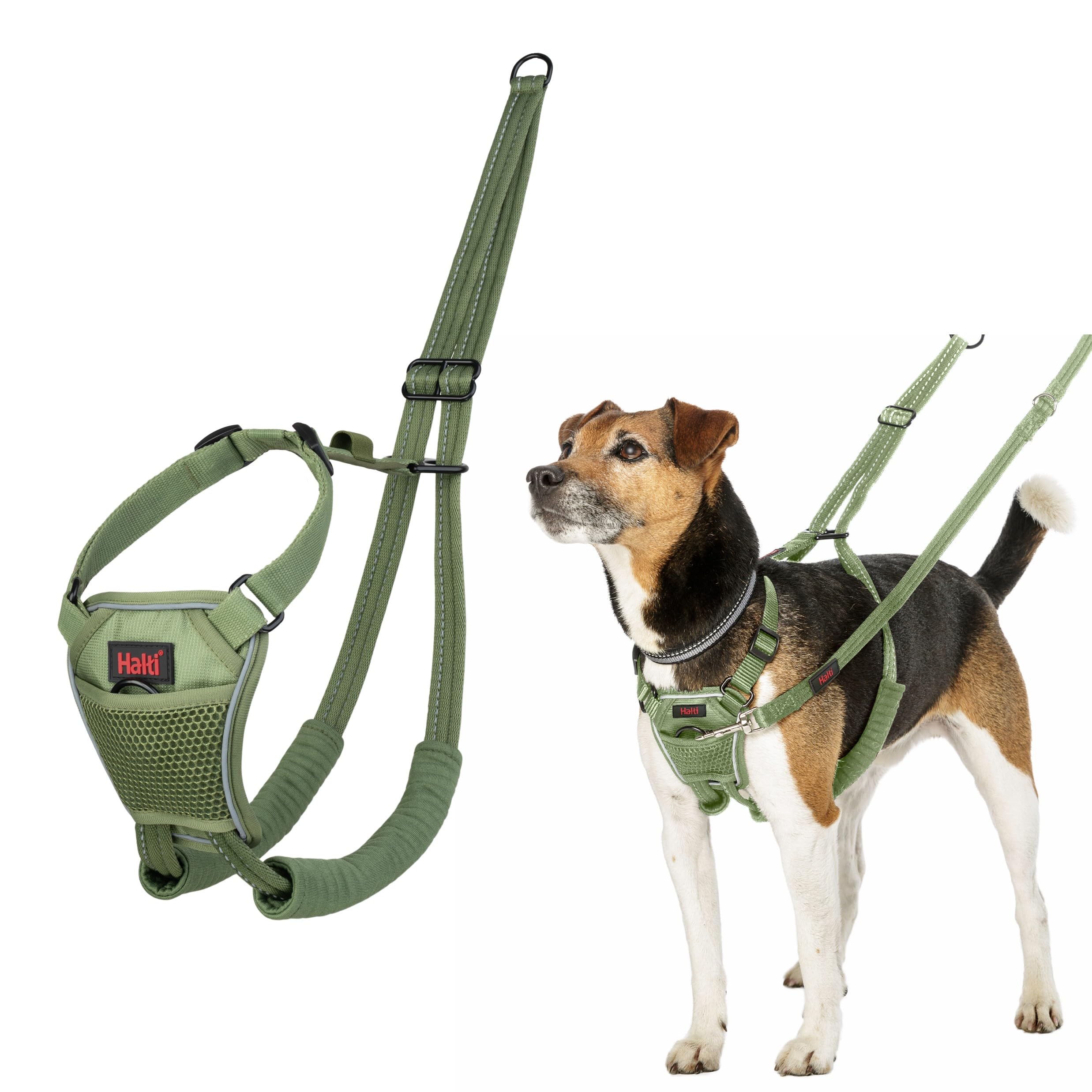 Halti No Pull Harness - Stops Pulling with Front Control Steering | Size S | Forest Green 1