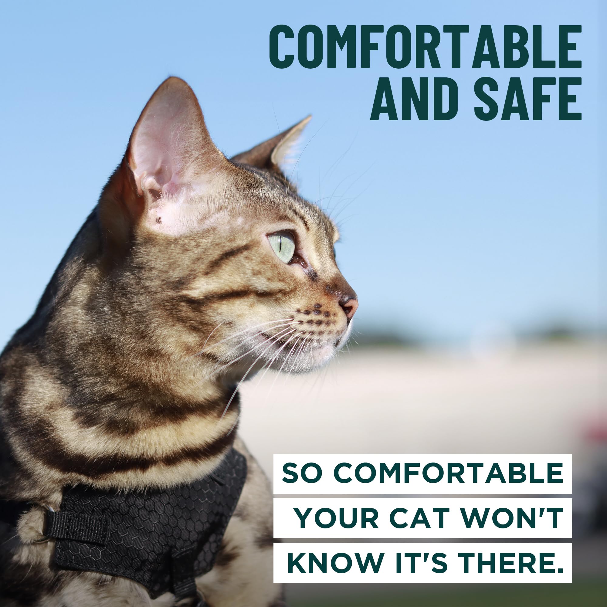 OutdoorBengal Escape Proof Cat Harness and Leash Set - Choke Free, Lightweight Neoprene | Medium, Black 4