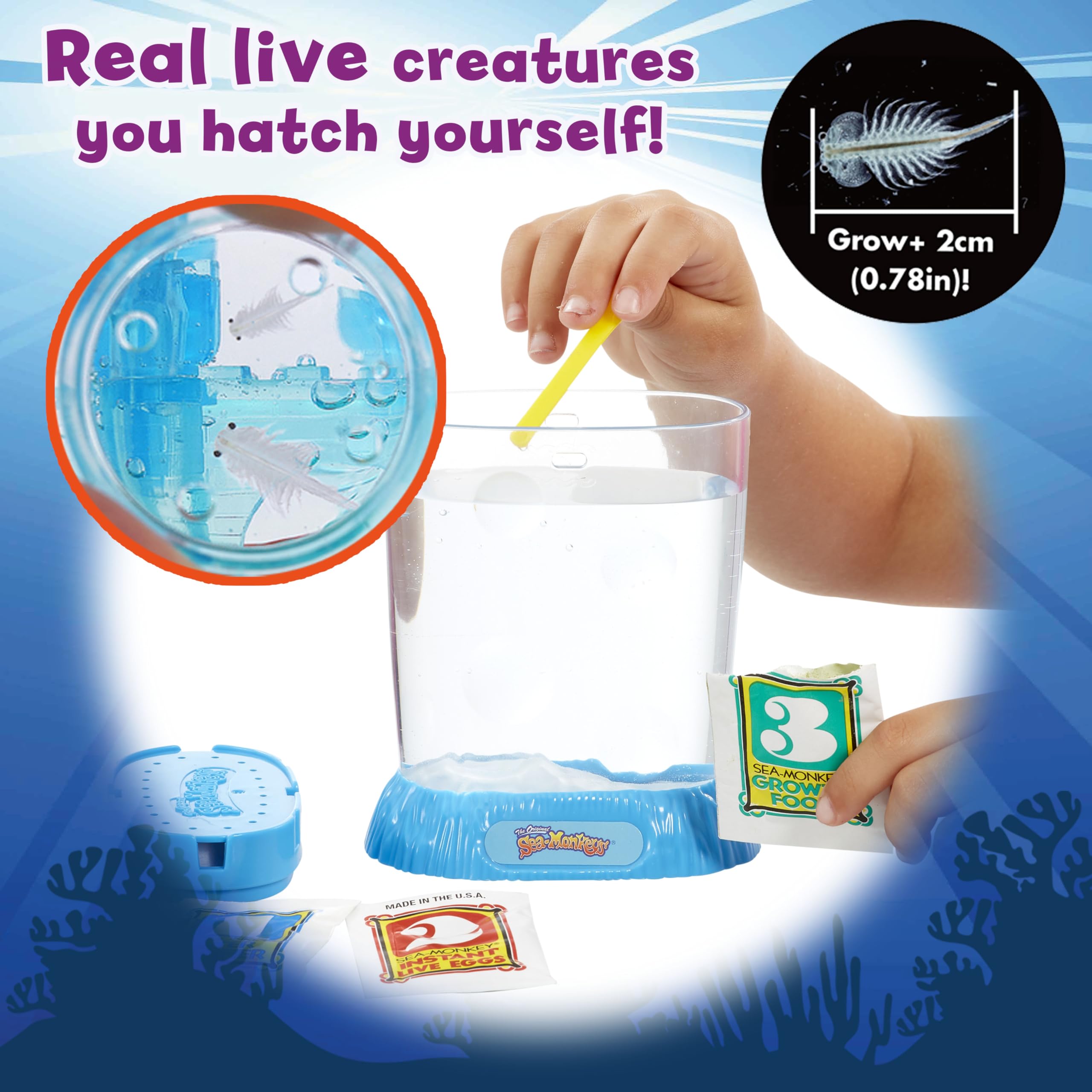 Sea Monkeys On Mars – Züchte deine eigenen Science-Fiction-Haustiere – Wissenschaftsset für Kinder ab 6 Jahren 12