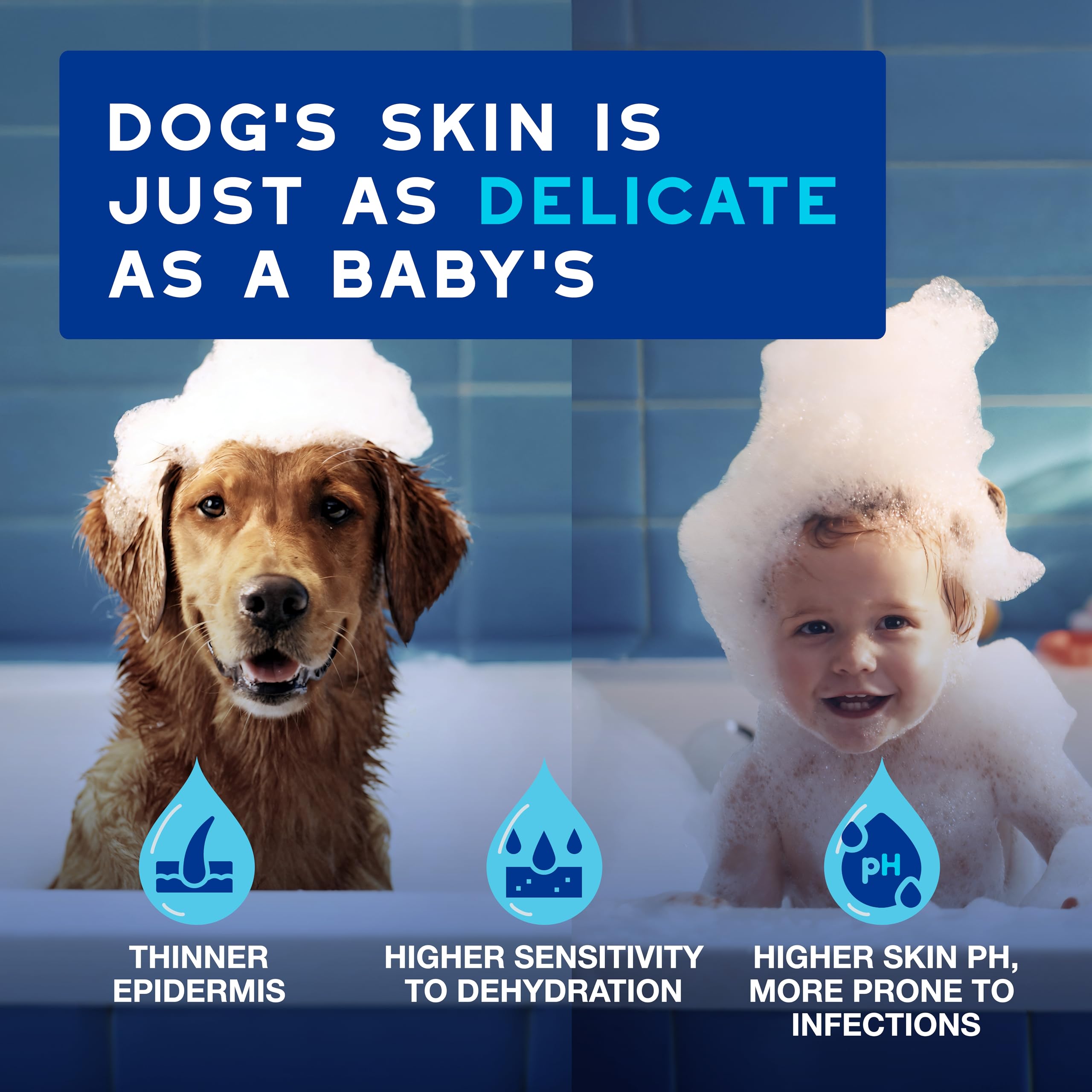 Douxo Skin & Coat SPA Ear Cleaner for Dogs and Cats - Micellar Wax Removal | 120 ml 3