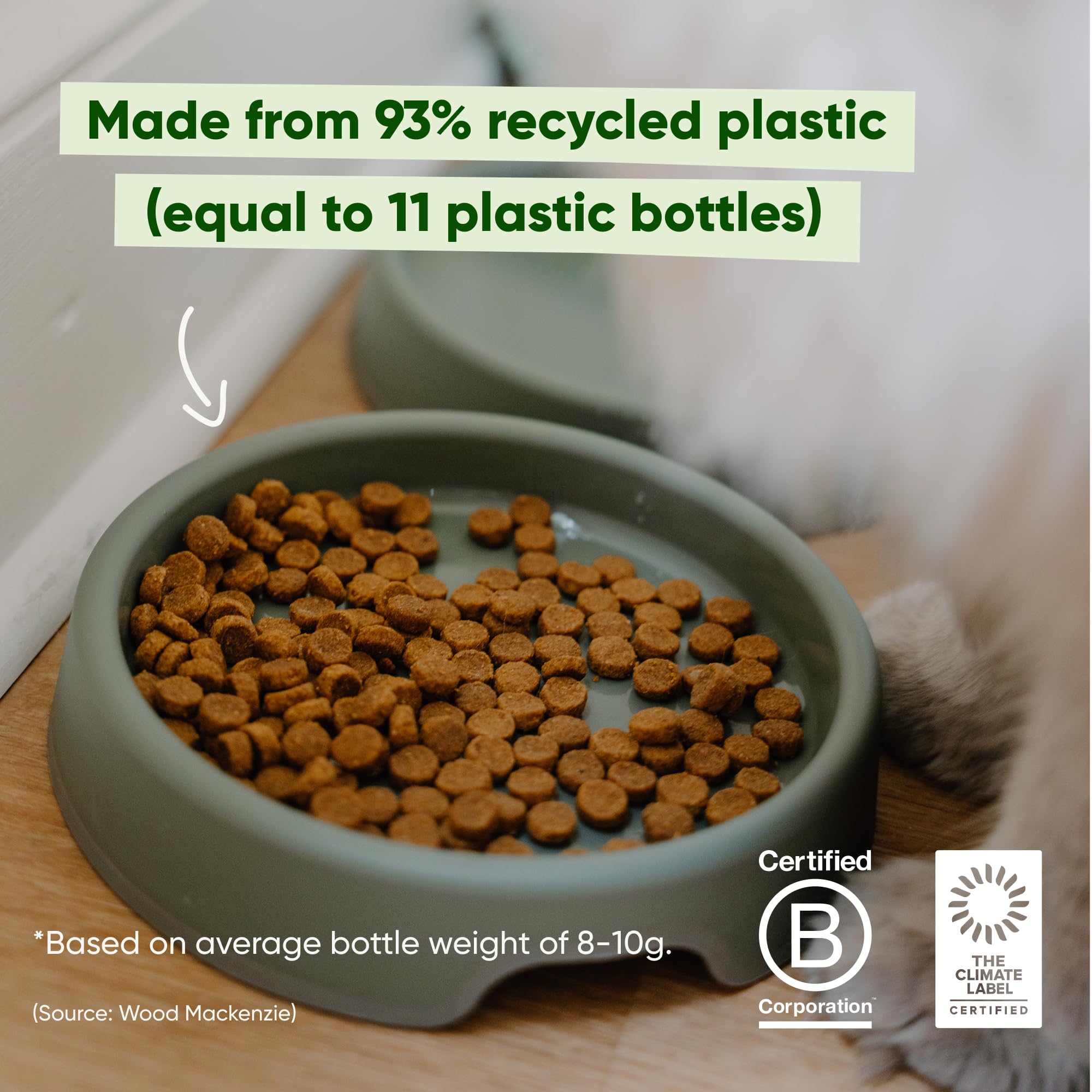 Beco Cat Bowl - Whisker-Friendly Steady Design | Recycled Plastic | Non-Slip Base 6