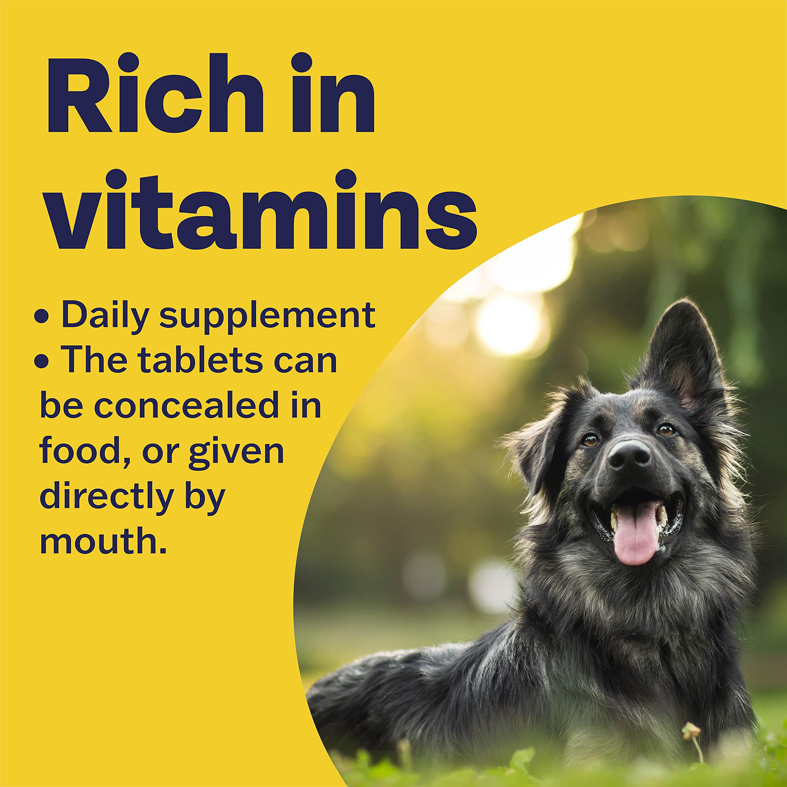 Bob Martin Conditioning Tablets for Dogs - 100 Count Multivitamin Supplement | Supports Immune System & Coat Health 4