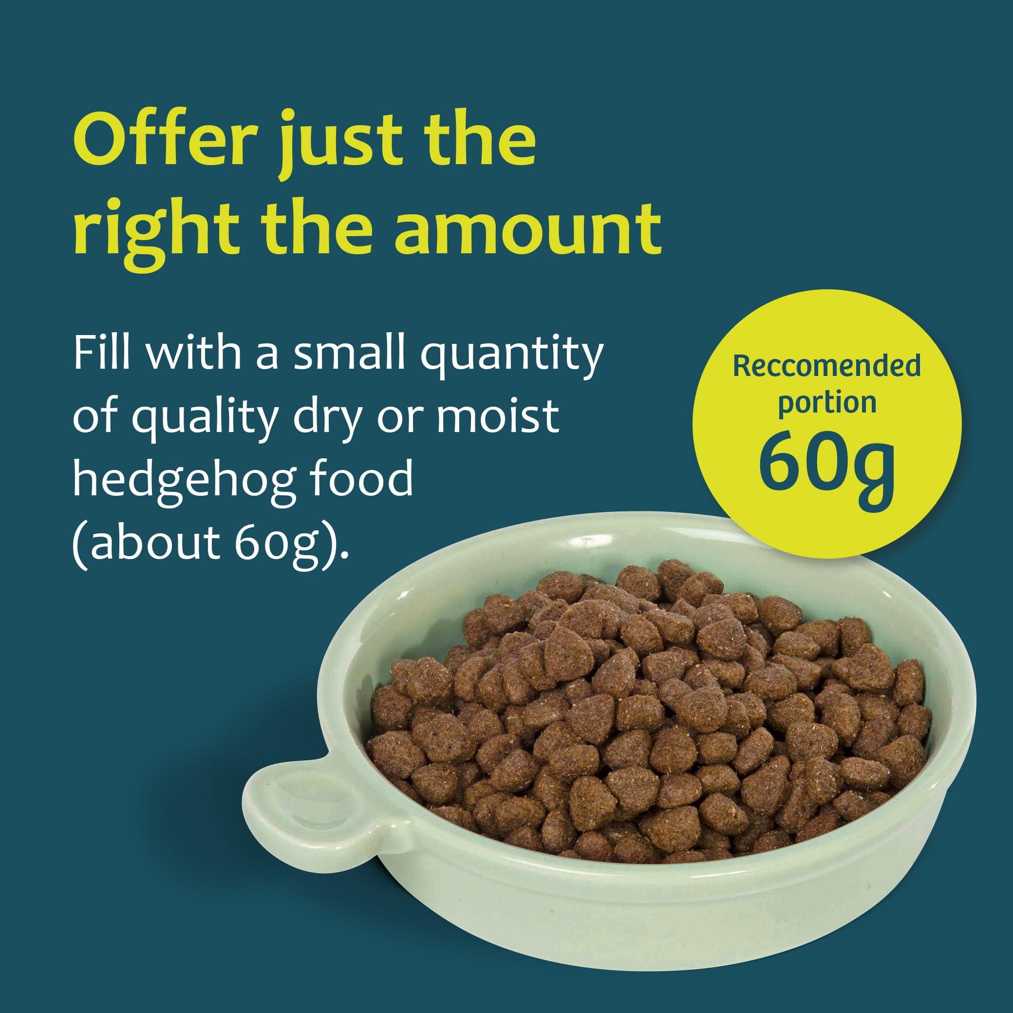 Jacobi Jayne Ceramic Hedgehog Food Bowl - Pastel Green Glaze | Weather-Resistant | 125mm 4