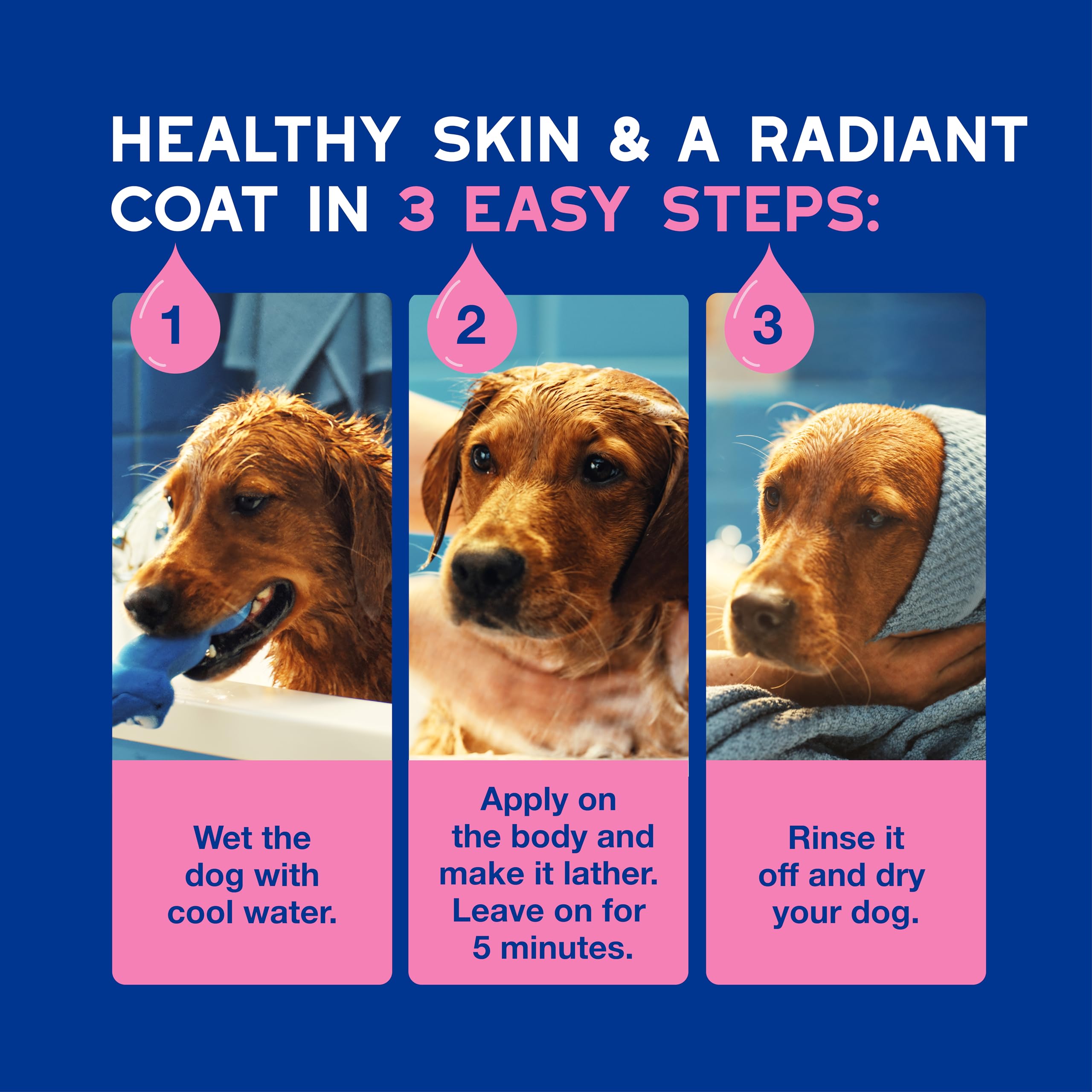 Douxo Skin & Coat SPA Soothing Dog Shampoo - 250 ml | Hydrating & pH Balanced 6