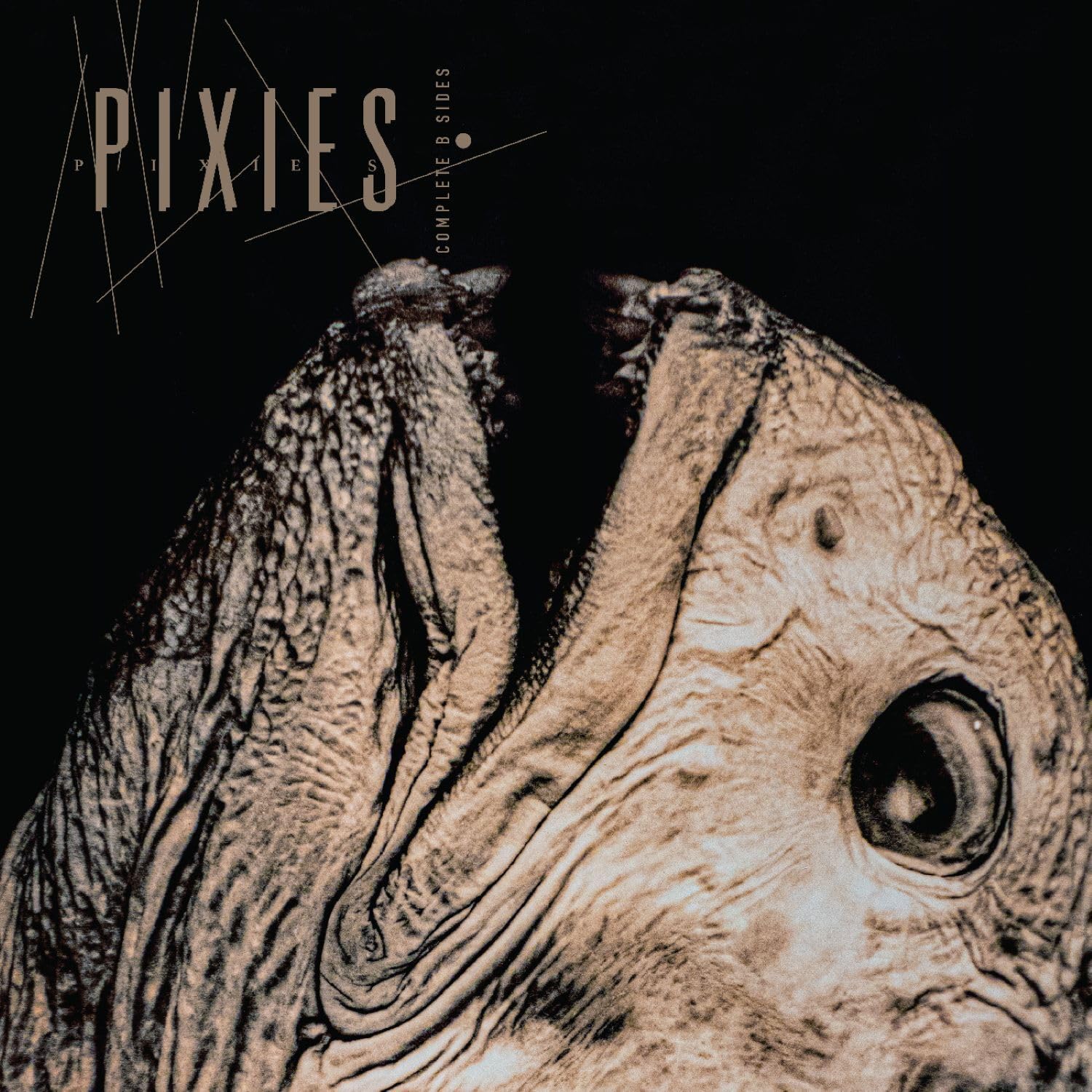 Pixies - Complete B Sides: 1988-97 [Double Black Vinyl]