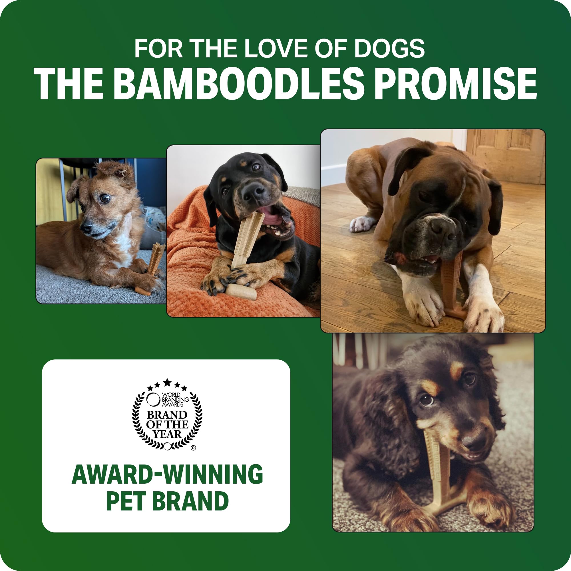 Bamboodles T-Bone Dog Chew Toy - Small Size | Mint & Lamb Flavor | Durable Natural Materials 7