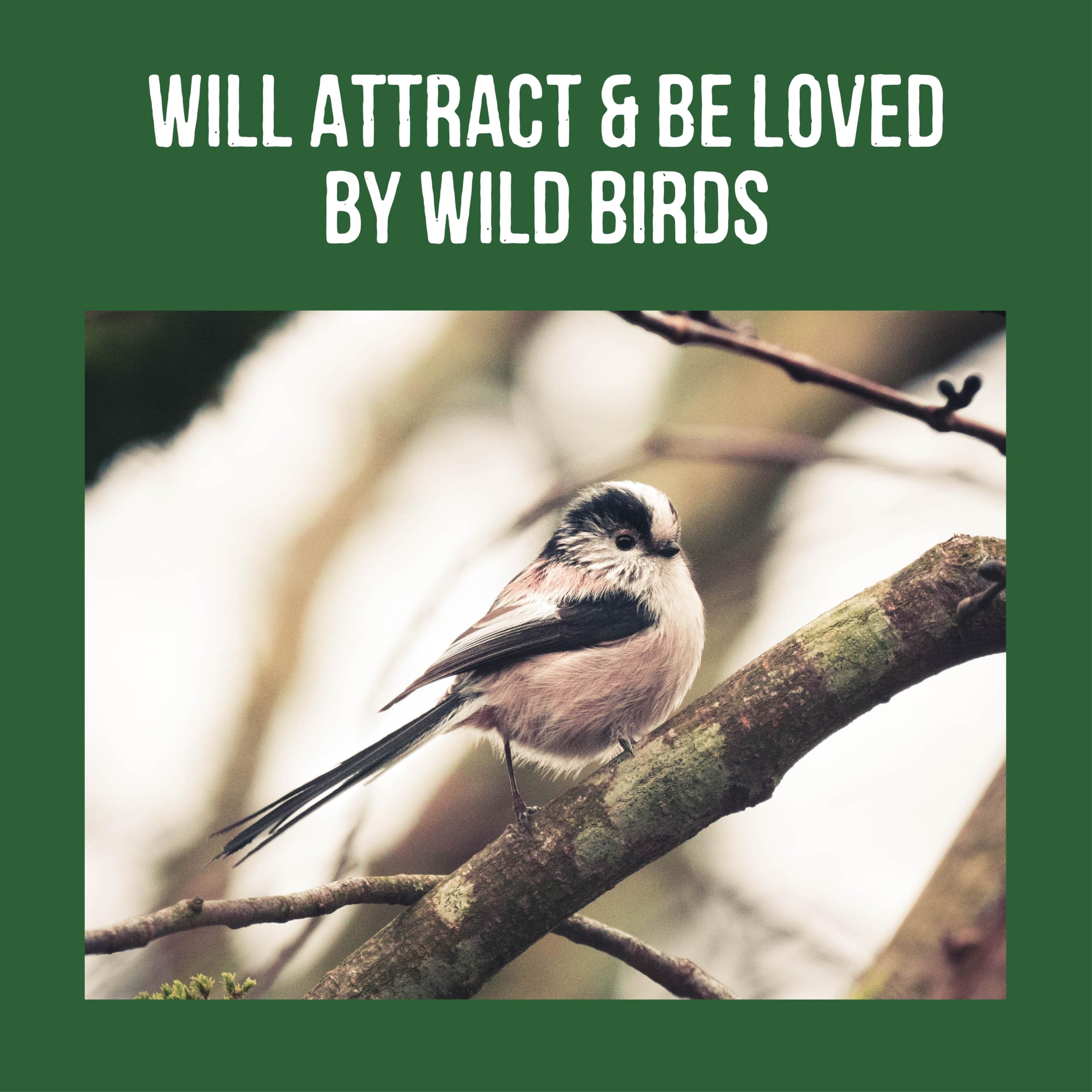 Honeyfield's No Grow Bird Food for Wild Birds - 1.6 kg Resealable Bag | High Energy Seeds 6