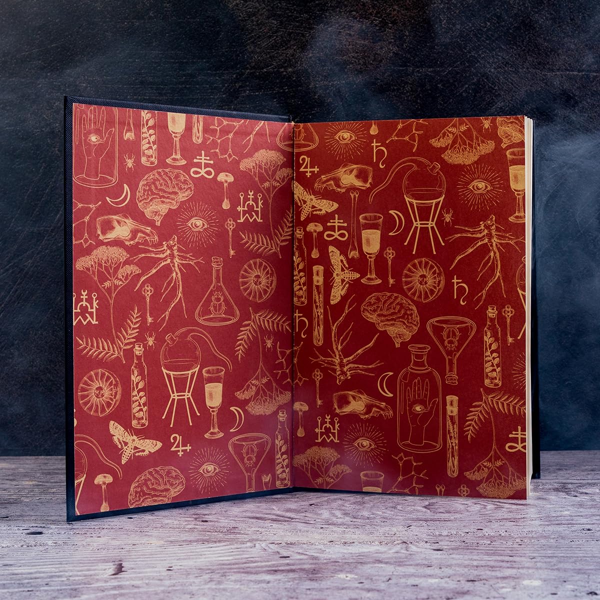Penguin Alchemised: The 2025 Debut Gaslamp Fantasy Novel by SenLinYu | Hardcover 8