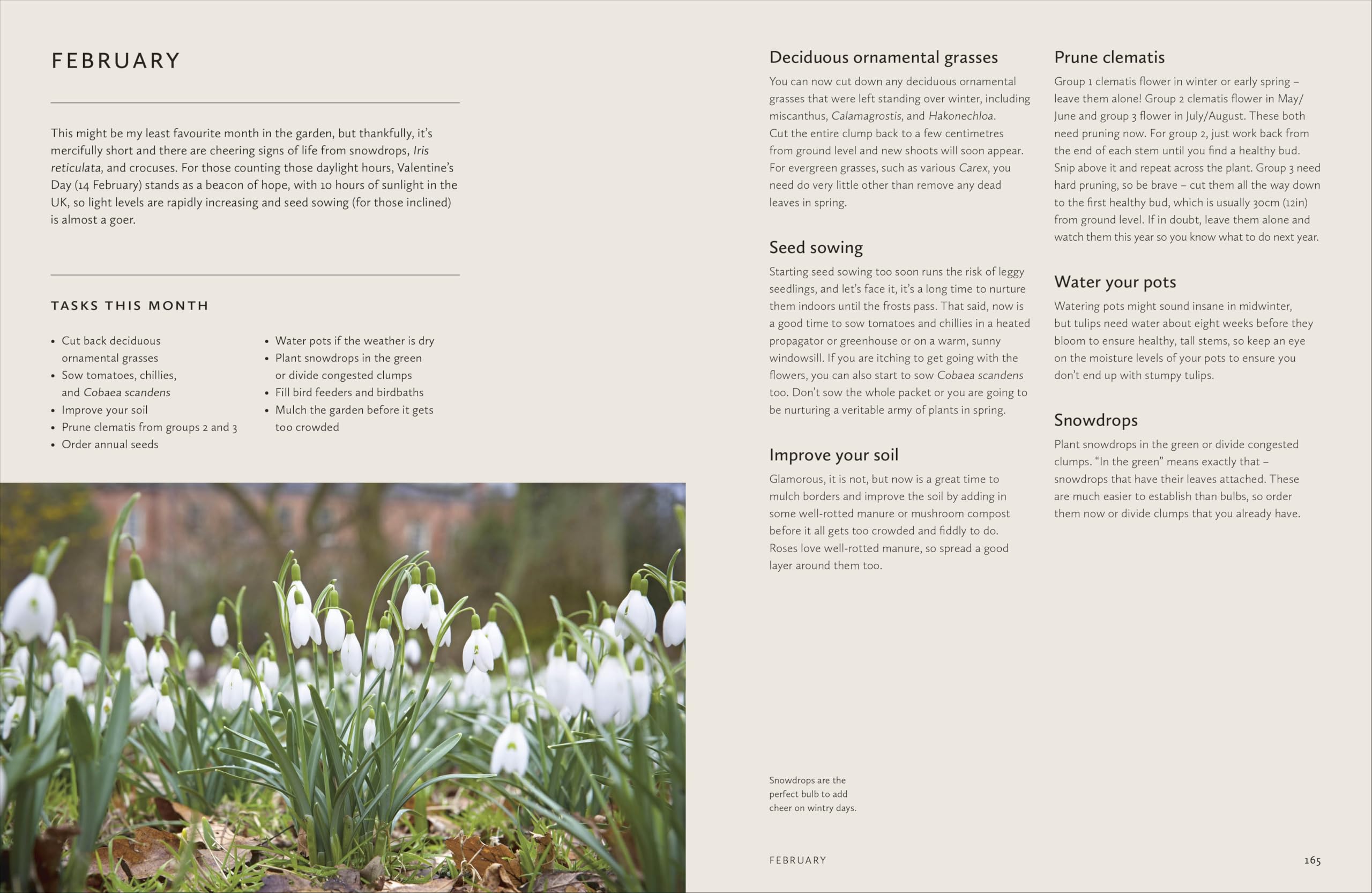 DK How to Design a Garden: Create and Maintain Your Dream Garden by Pollyanna Wilkinson | Hardcover 7