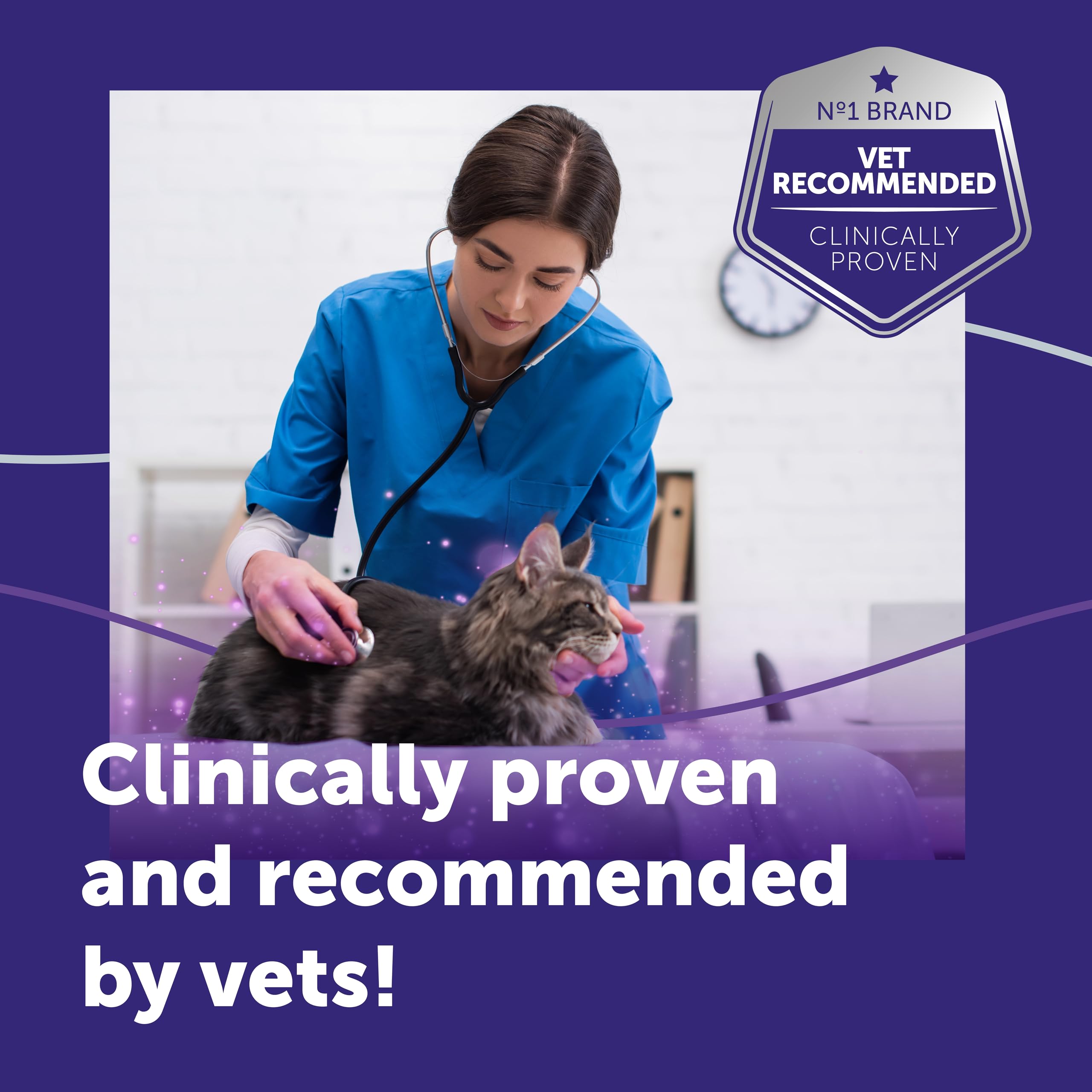 Feliway Optimum Cat Calming Refills - 3 x 30 Day Supply | Drug-Free | Covers up to 70m² 8