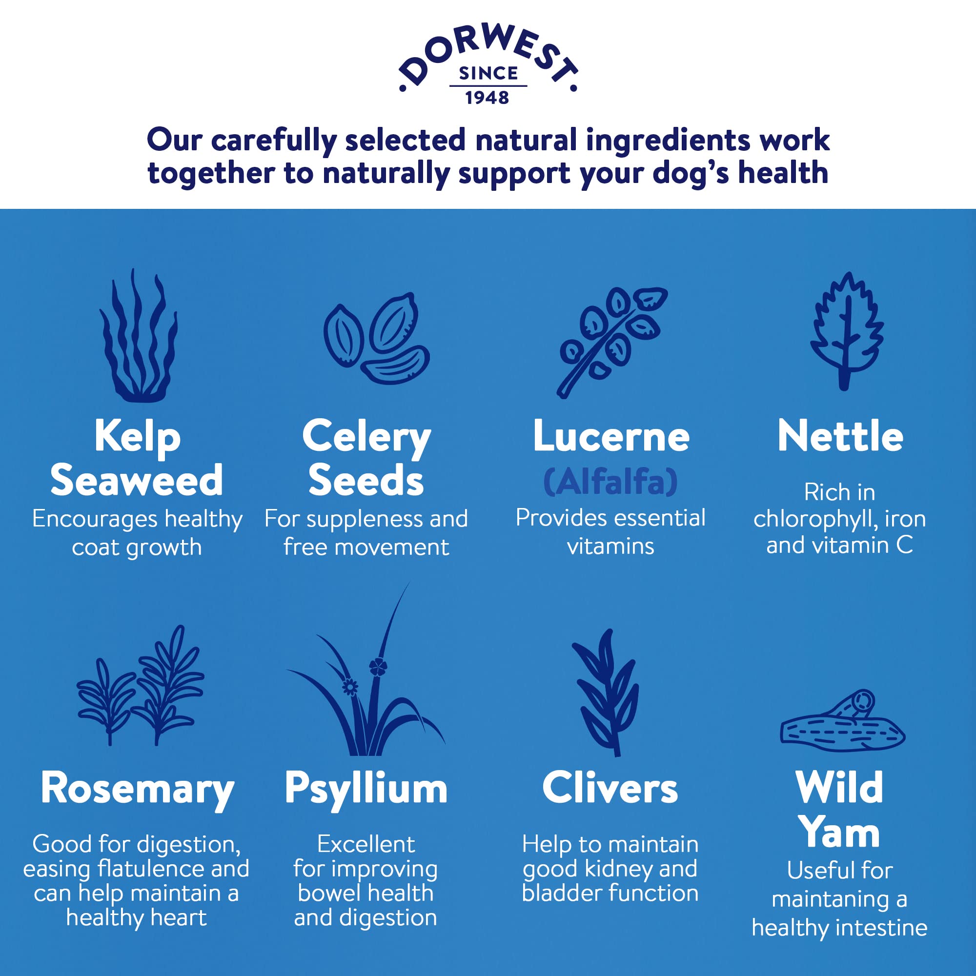 DORWEST HERBS Keeper’s Mix Herbal Supplement for Dogs and Cats - 500g Powder 5