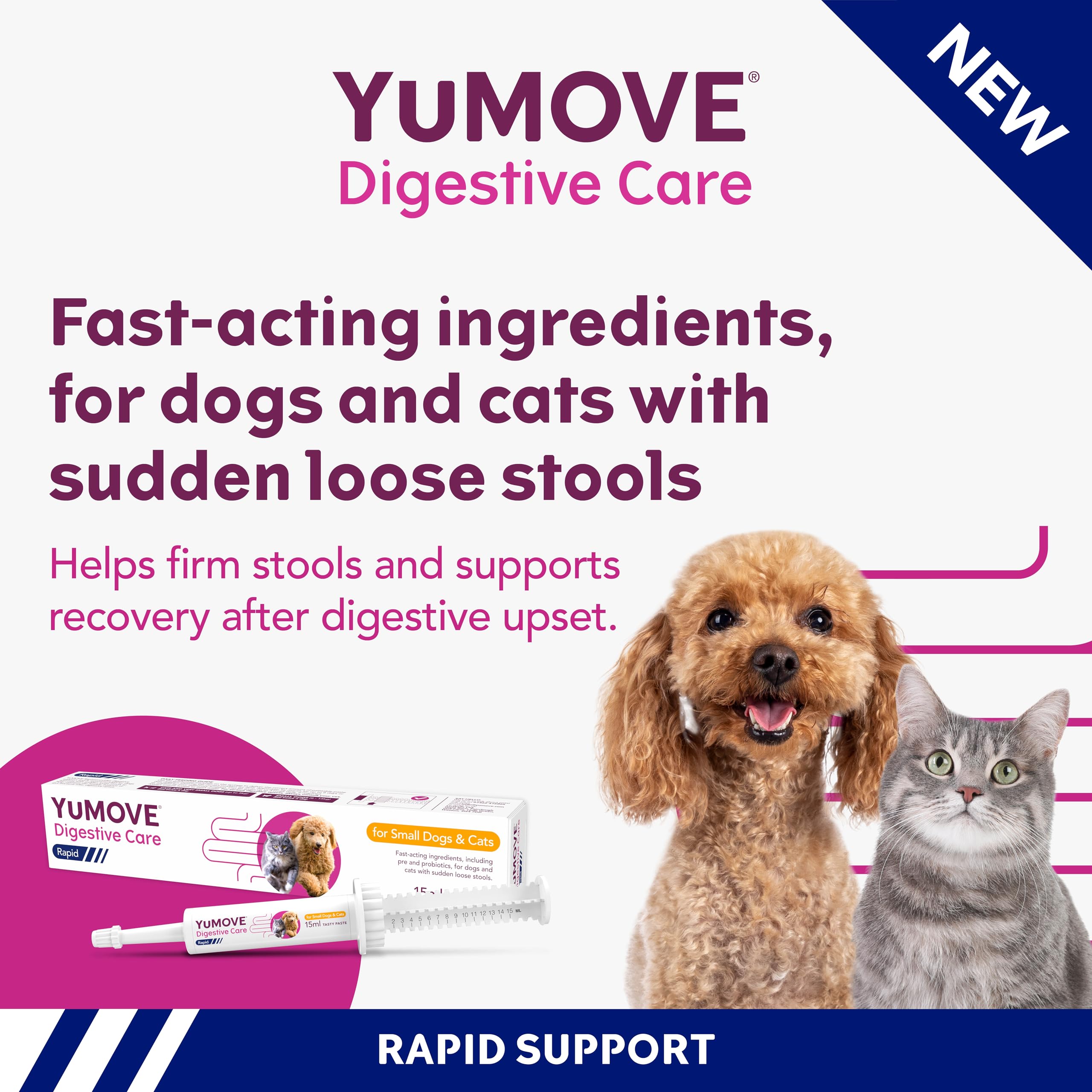 YuMOVE Digestive Care Rapid Paste for Cats & Dogs - Fast-Acting Pre & Probiotic for Loose Stools | 15ml