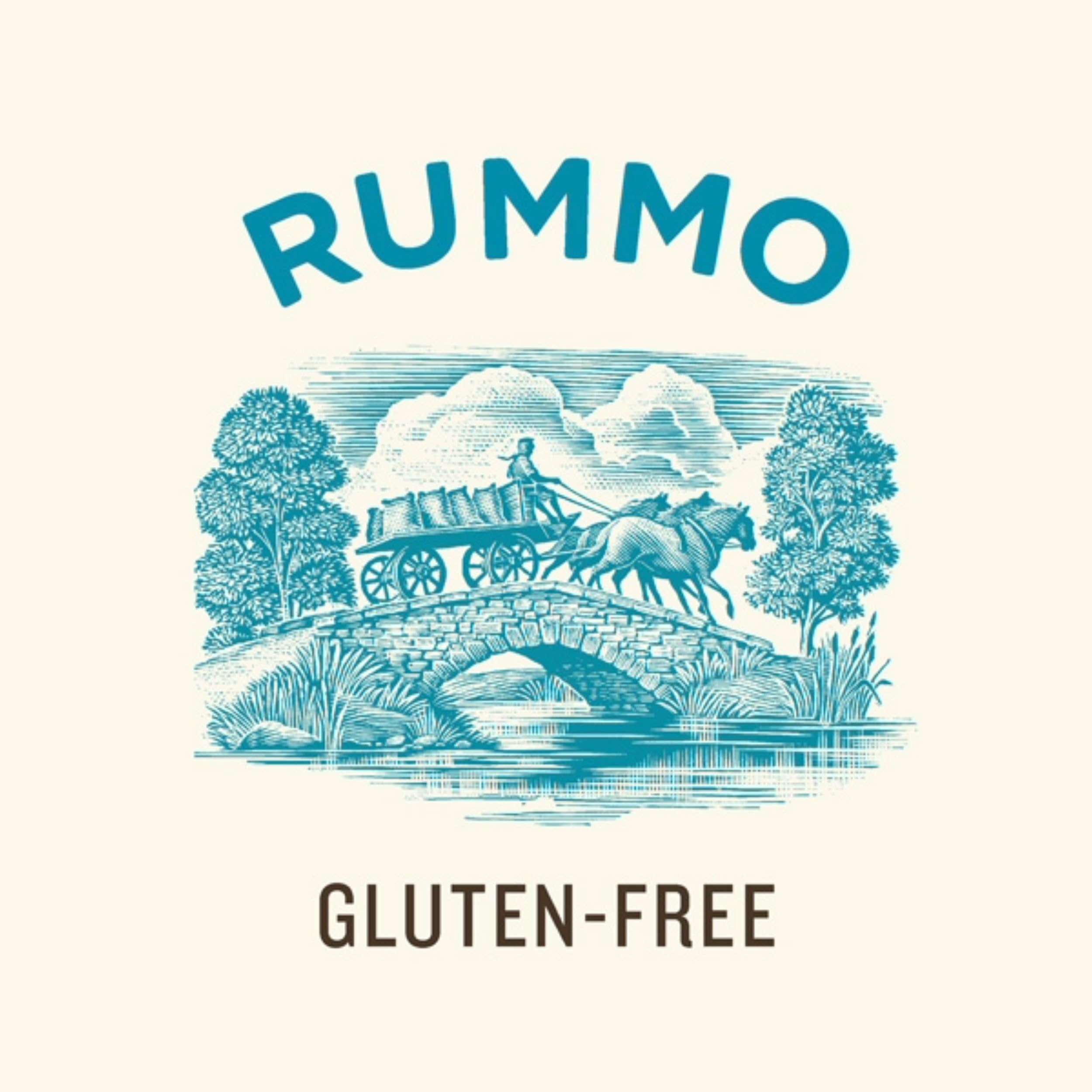 Rummo Gnocchi, Gluten Free Pasta No.117 - Authentic Italian Potato Pillows 3