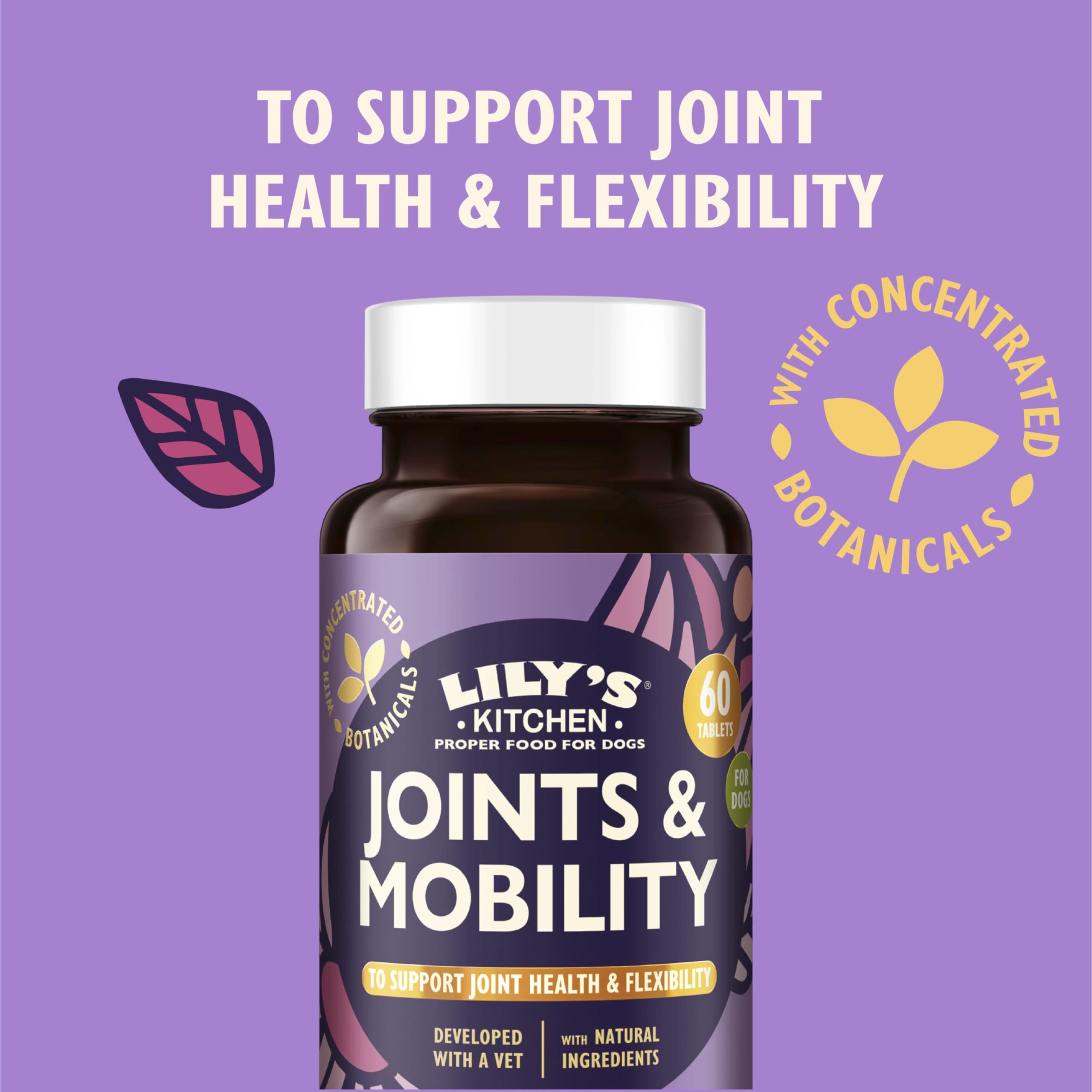 Lily's Kitchen Joints & Mobility Supplements for Adult & Senior Dogs | Glucosamine & Chondroitin 3