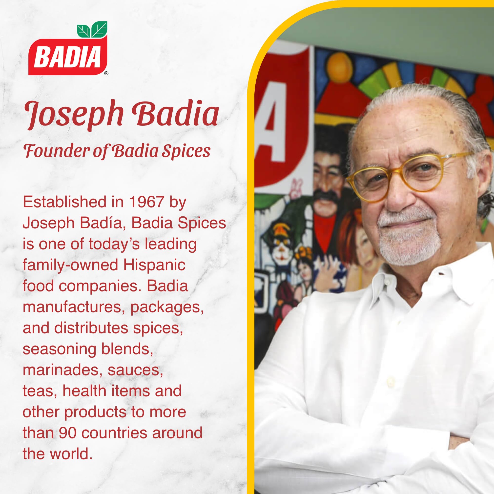 Badia The Original Complete Seasoning, 793.8g Catering Size Tub 7
