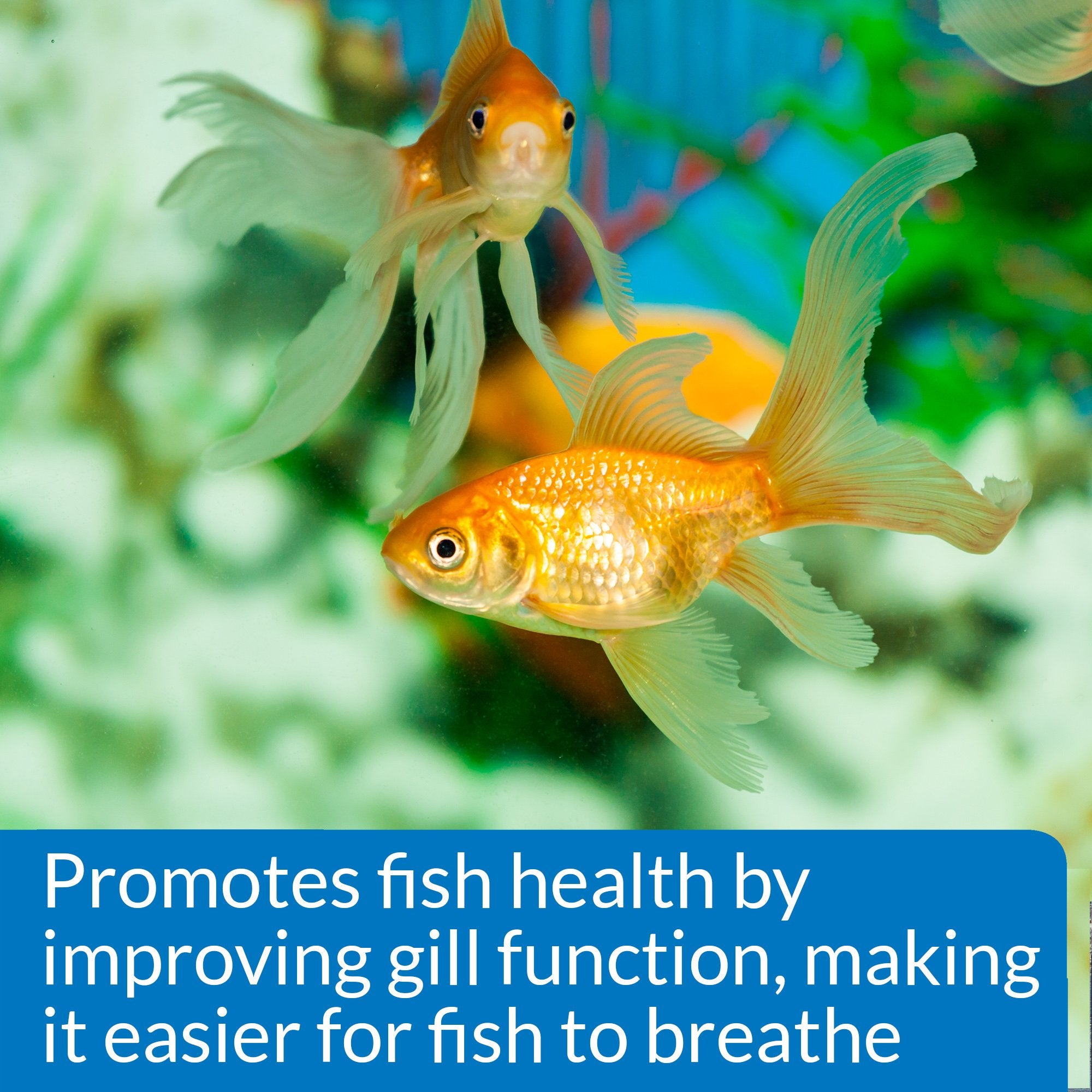 API Aquarium Salt for Freshwater Aquariums - Promotes Health & Recovery | 453g Powder 5