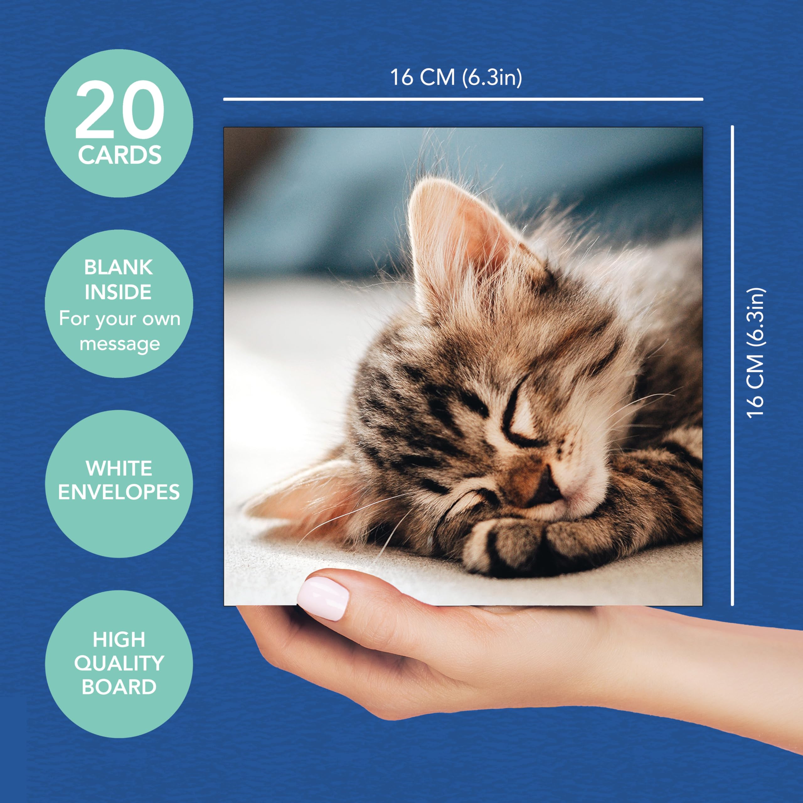 Piccadilly Greetings Assorted Blank Cards Multipack - 20 Cards, 16x16 cm, FSC Mix Approved 4