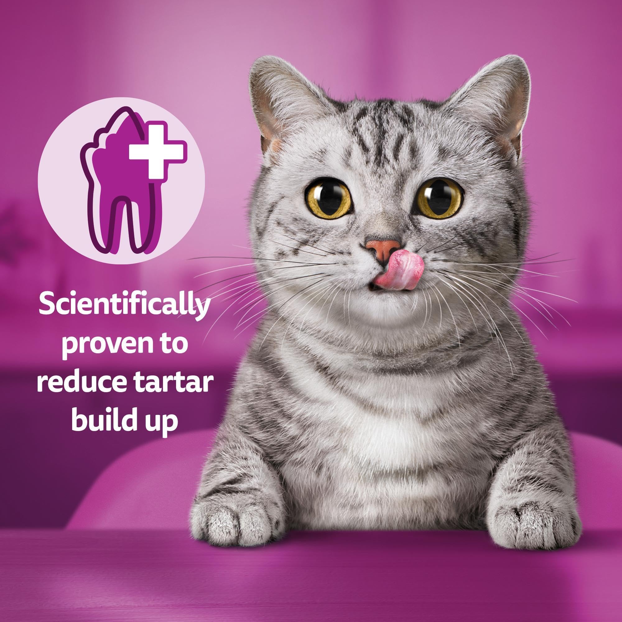 Whiskas Dentabites Adult Cat Treats with Chicken - Helps Control Tartar | 120g (Pack of 4) 5