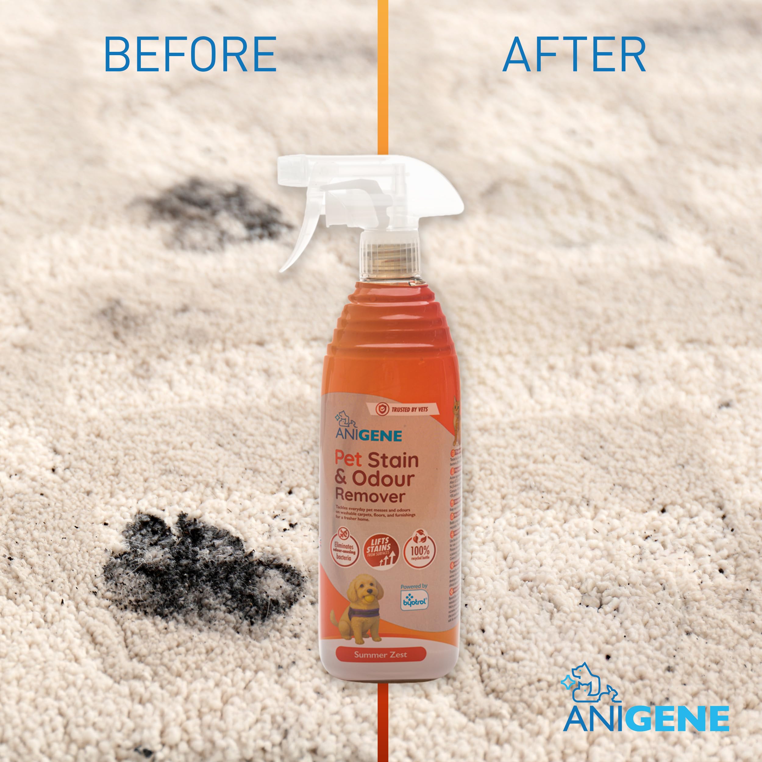 Byotrol ANIGENE Pet Stain & Odour Remover Spray - 750ml Summer Zest | Vet Quality | UK Made 3