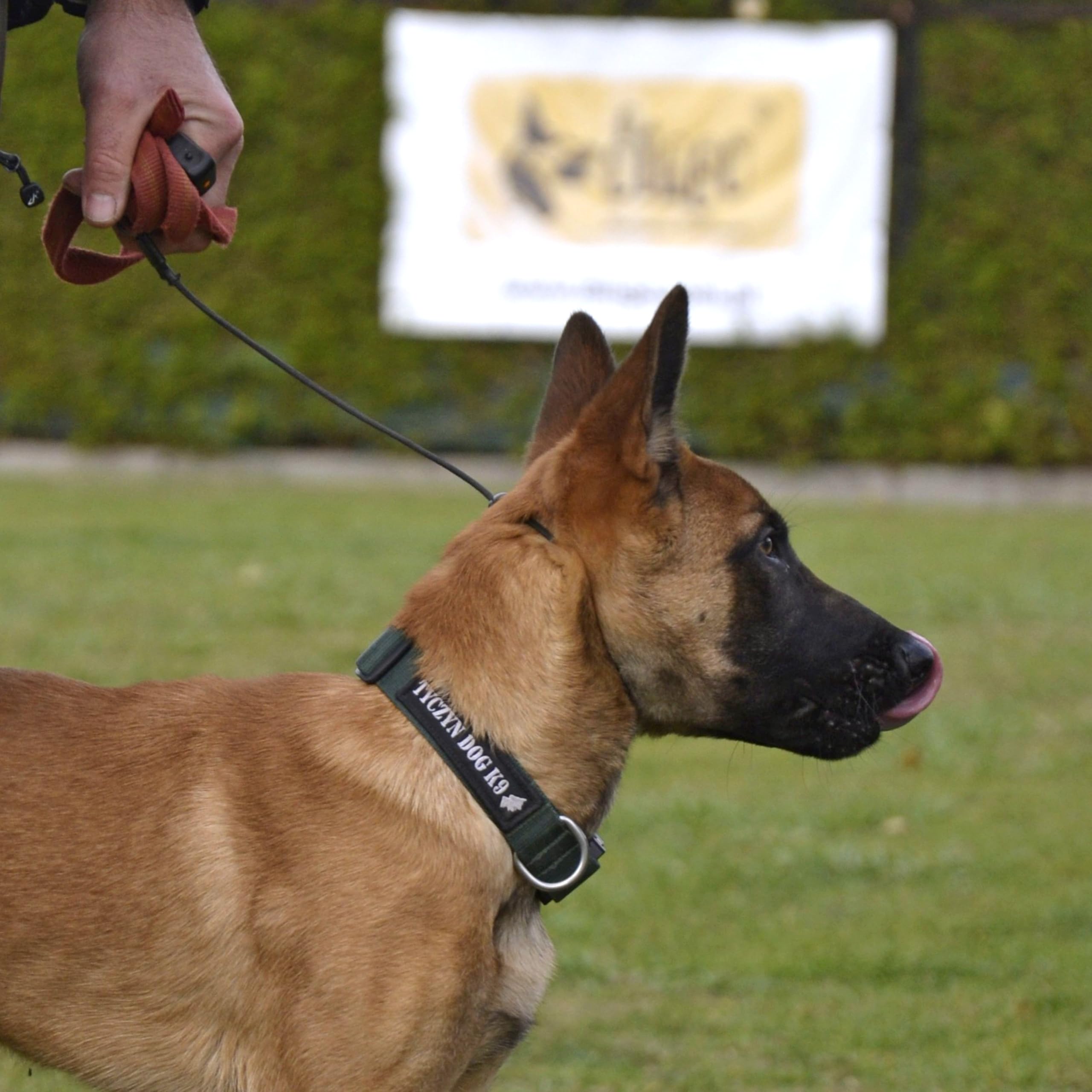 DINGO GEAR Choke Collar for Dog Training - Handmade Cord, Waterproof Black, Size M (50 cm) 6