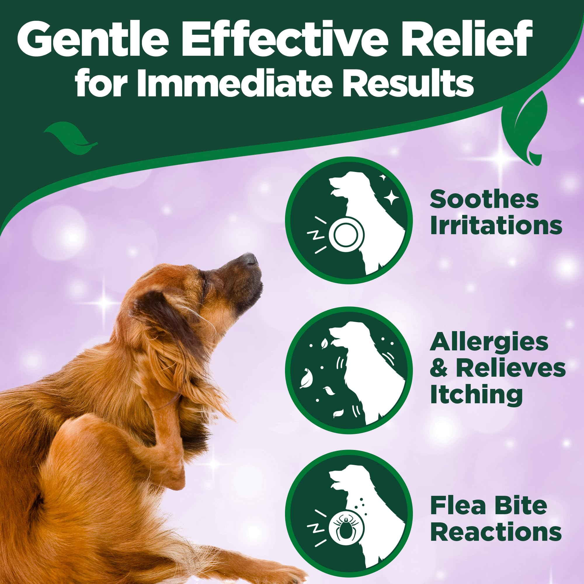 Vet's Best Allergy Itch Relief Spray for Dogs - Immediate Relief & Hydration | 250ml 4