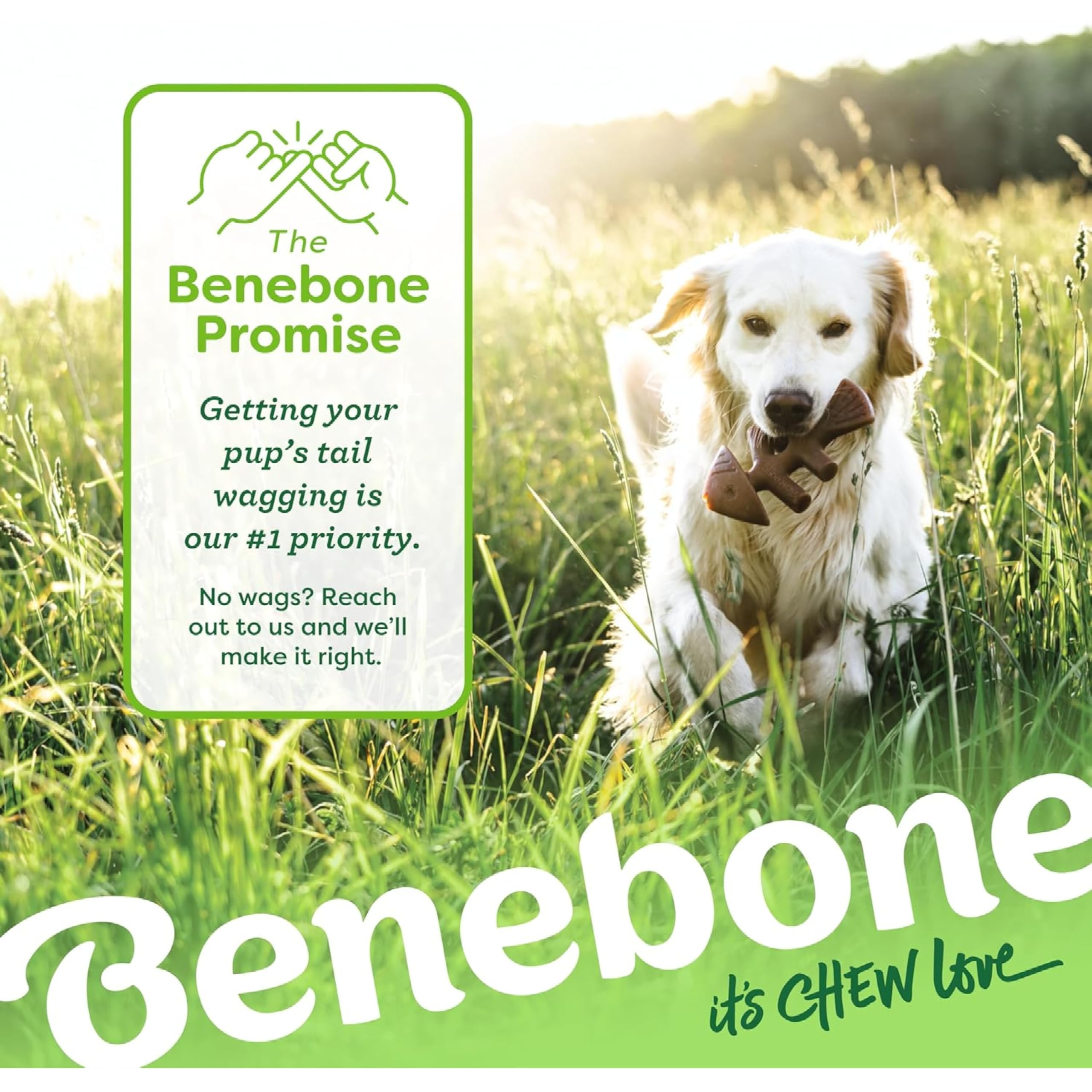 Benebone Fishbone Indestructible Dog Chew Toy - Real Jack Salmon Flavor | Small Size | Heavy Duty 6