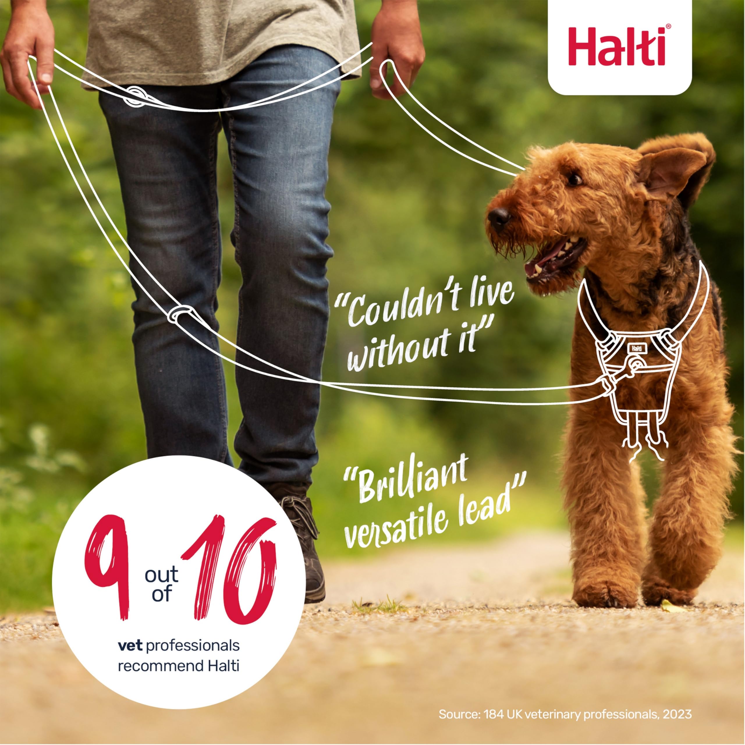 Halti Training Lead - Professional No-Pull Double-Ended Dog Lead, Size Large, Burnt Orange 6