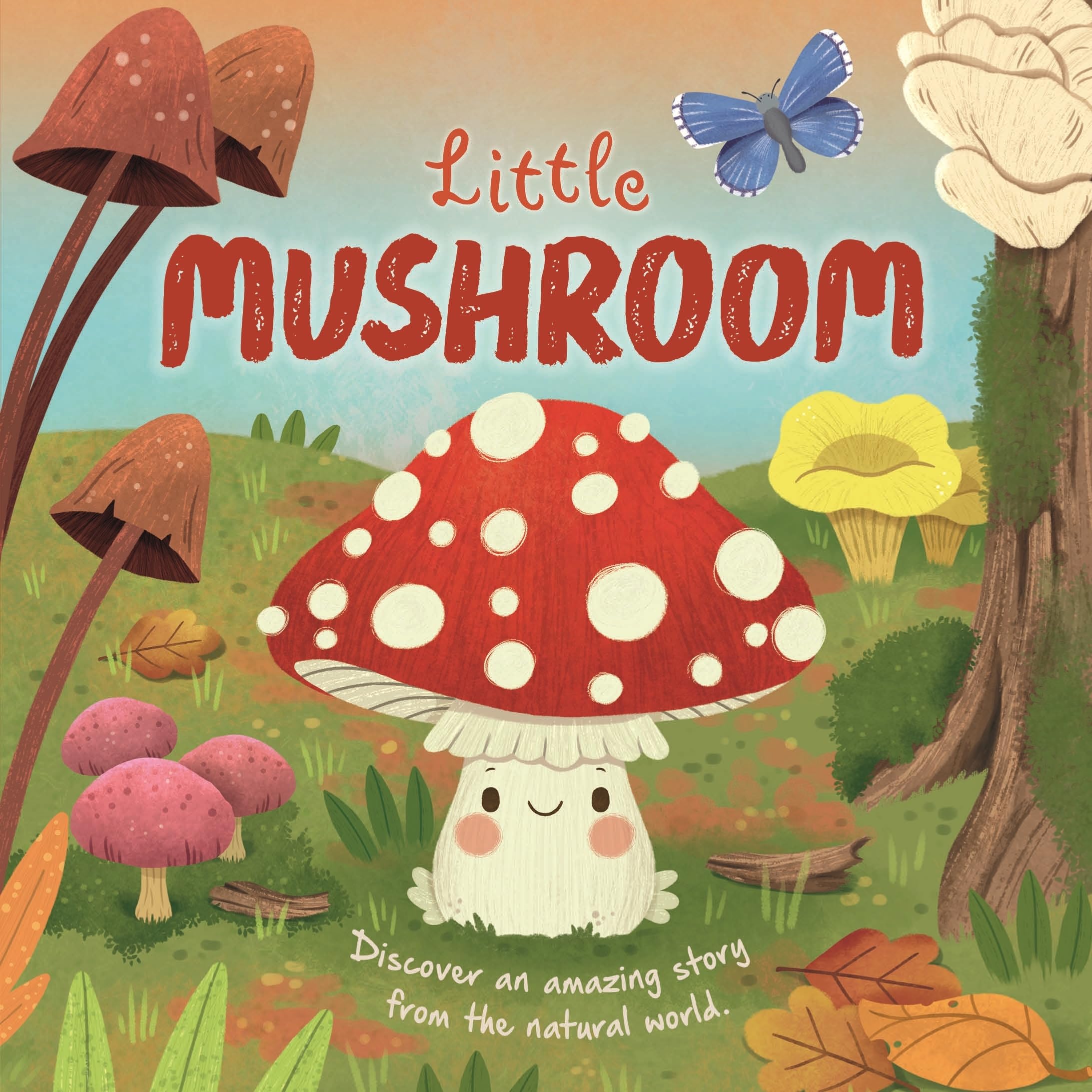 Autumn Collection of 8 Nature Stories 2 | Children's Illustrated Paperback | Reading Age 1-5 3