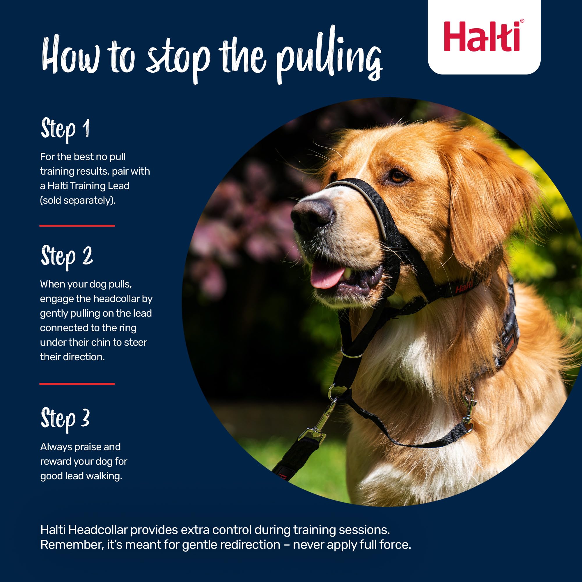 Halti Headcollar - Stops Dog Pulling | Size 2 | Burnt Orange | Reflective 4
