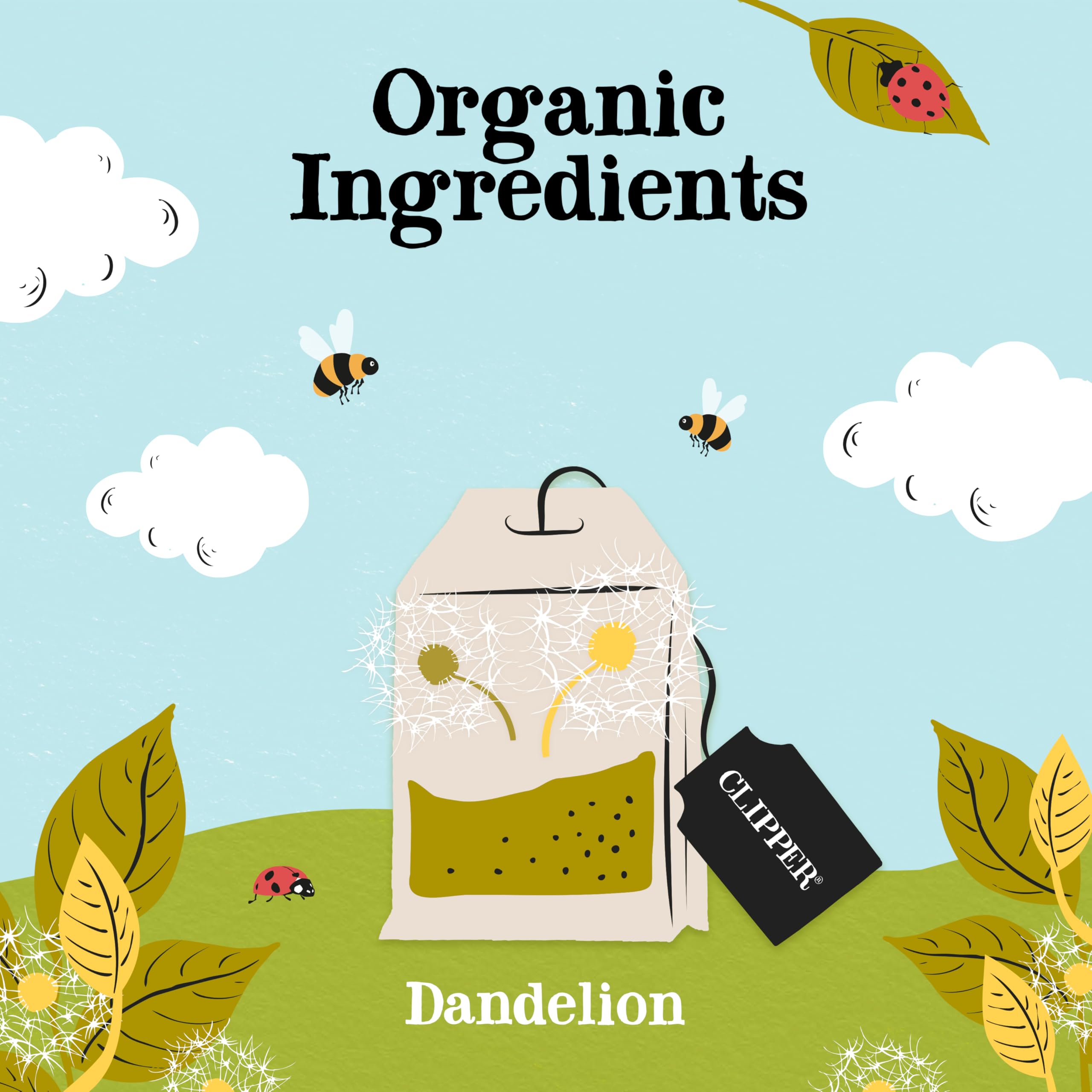 Clipper Natural, Fair & Delicious Organic Dandelion Tea Bags - 120 Count (6x20) | Caffeine-Free Herbal 3